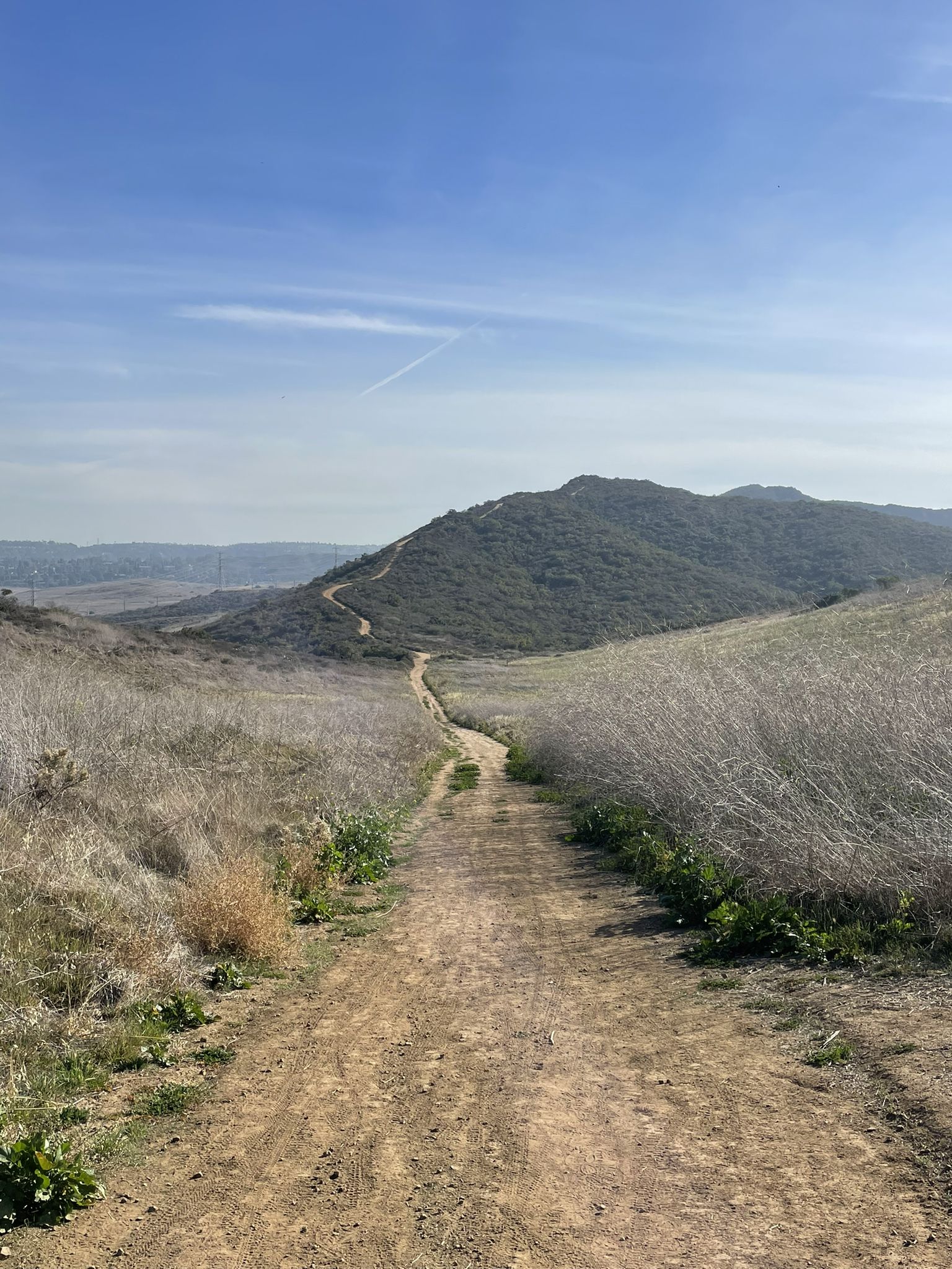 Dirt path winding through dry grassy hills under a clear blue sky. - Quail and Serrano Ridge Trail Loop