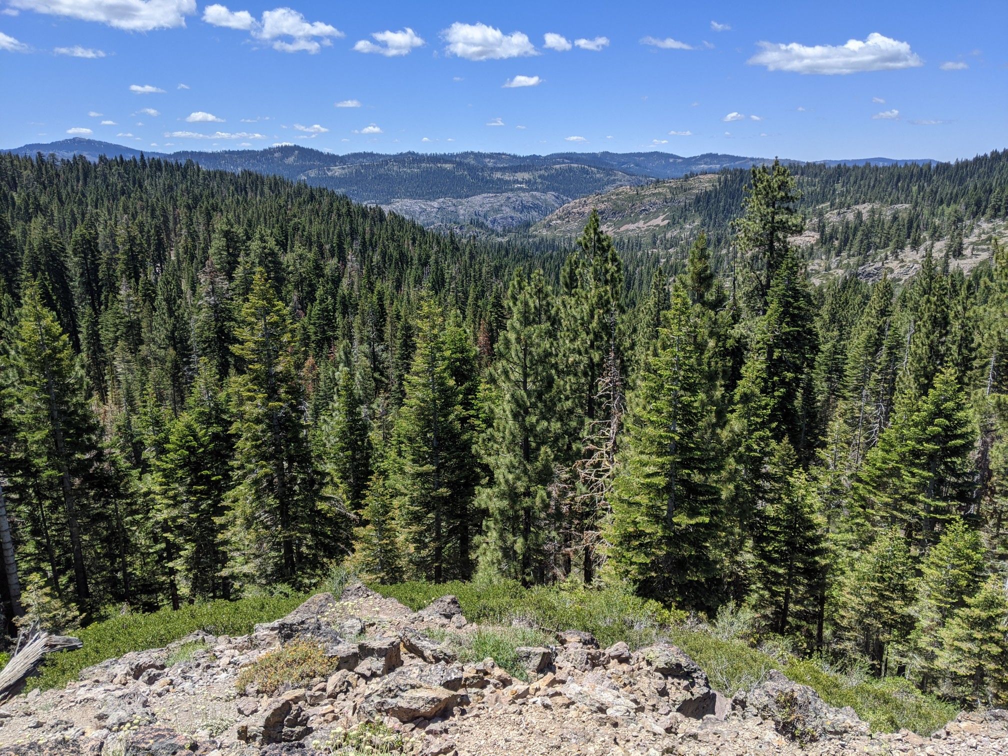 Dense evergreen forest covers rolling hills under a bright, cloudy sky. - Point Mariah Lookout – Bill & Flora's Point loop from Soda Springs