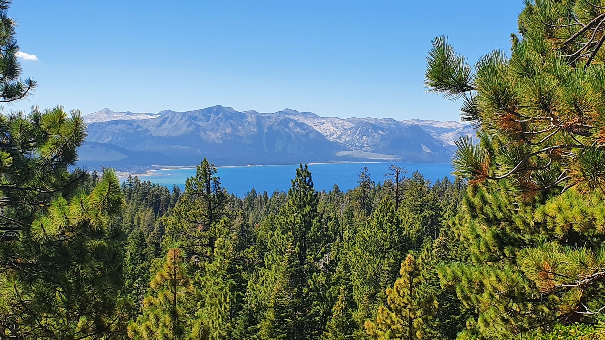 Bright blue lake framed by green pine trees and snow-capped mountains. - Bike loop from Castle Rock
