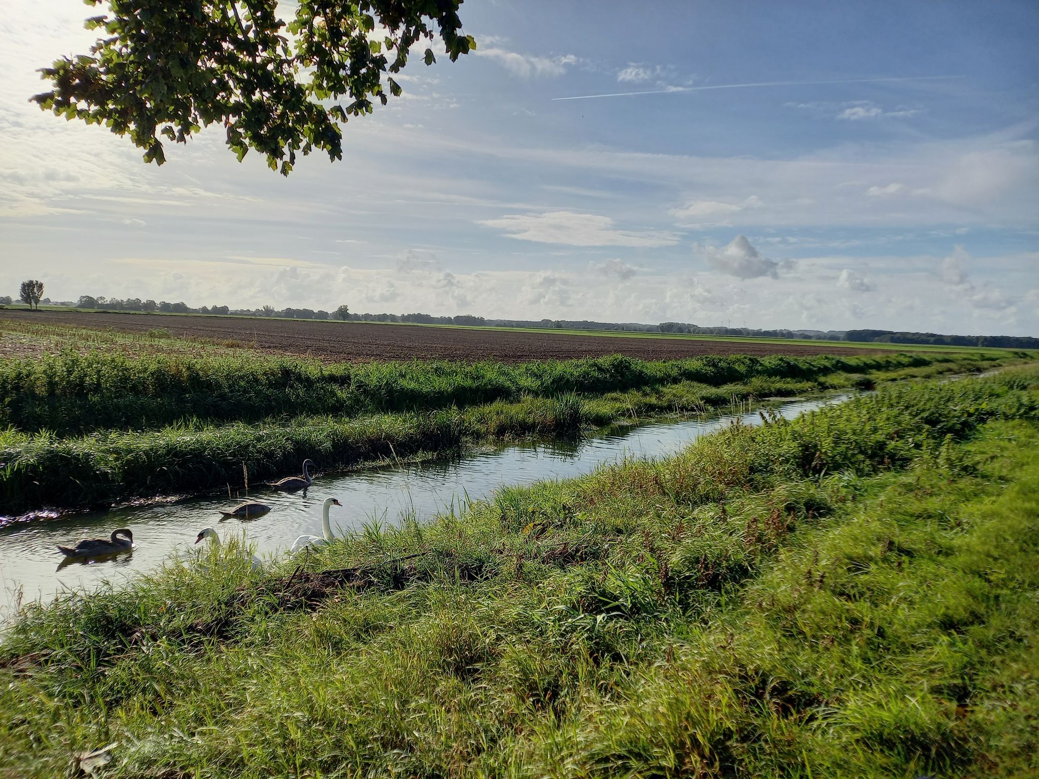 Hauptkanal