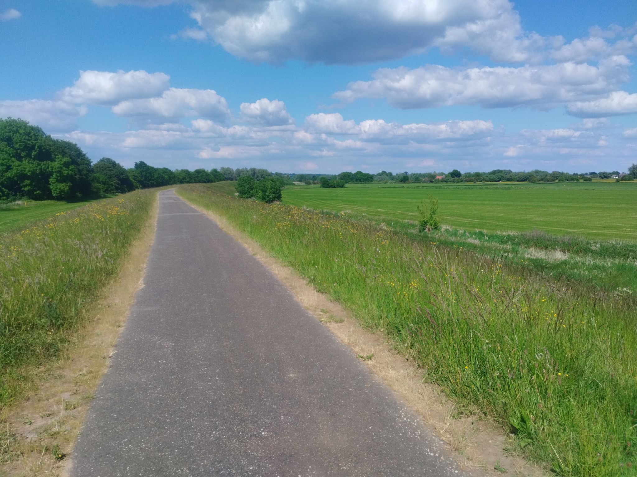Deichradweg