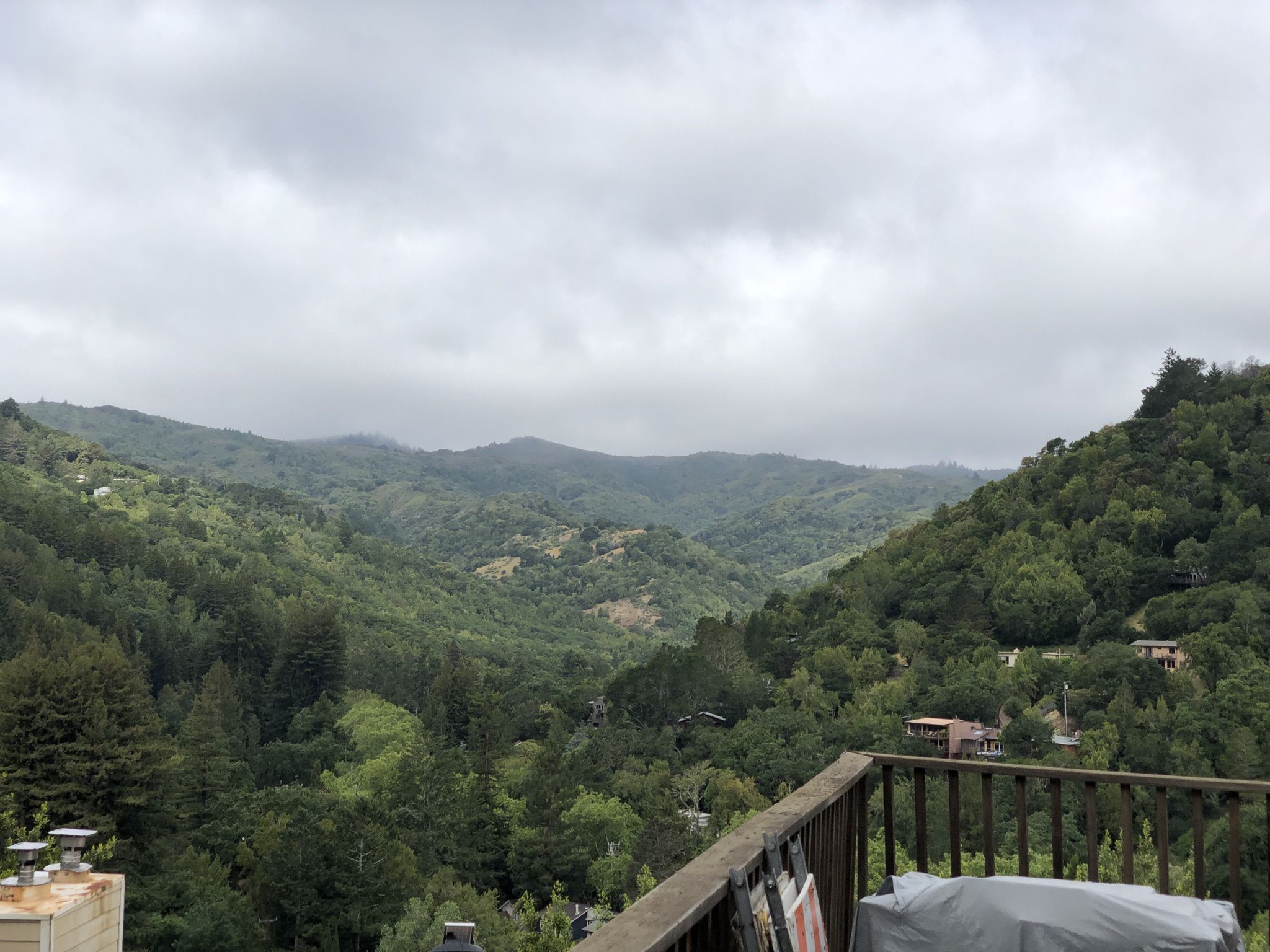 Overcast view of a forested valley with distant houses from a balcony. - Bon Tempe Lake via San Anselmo-Fairfax Bikeway