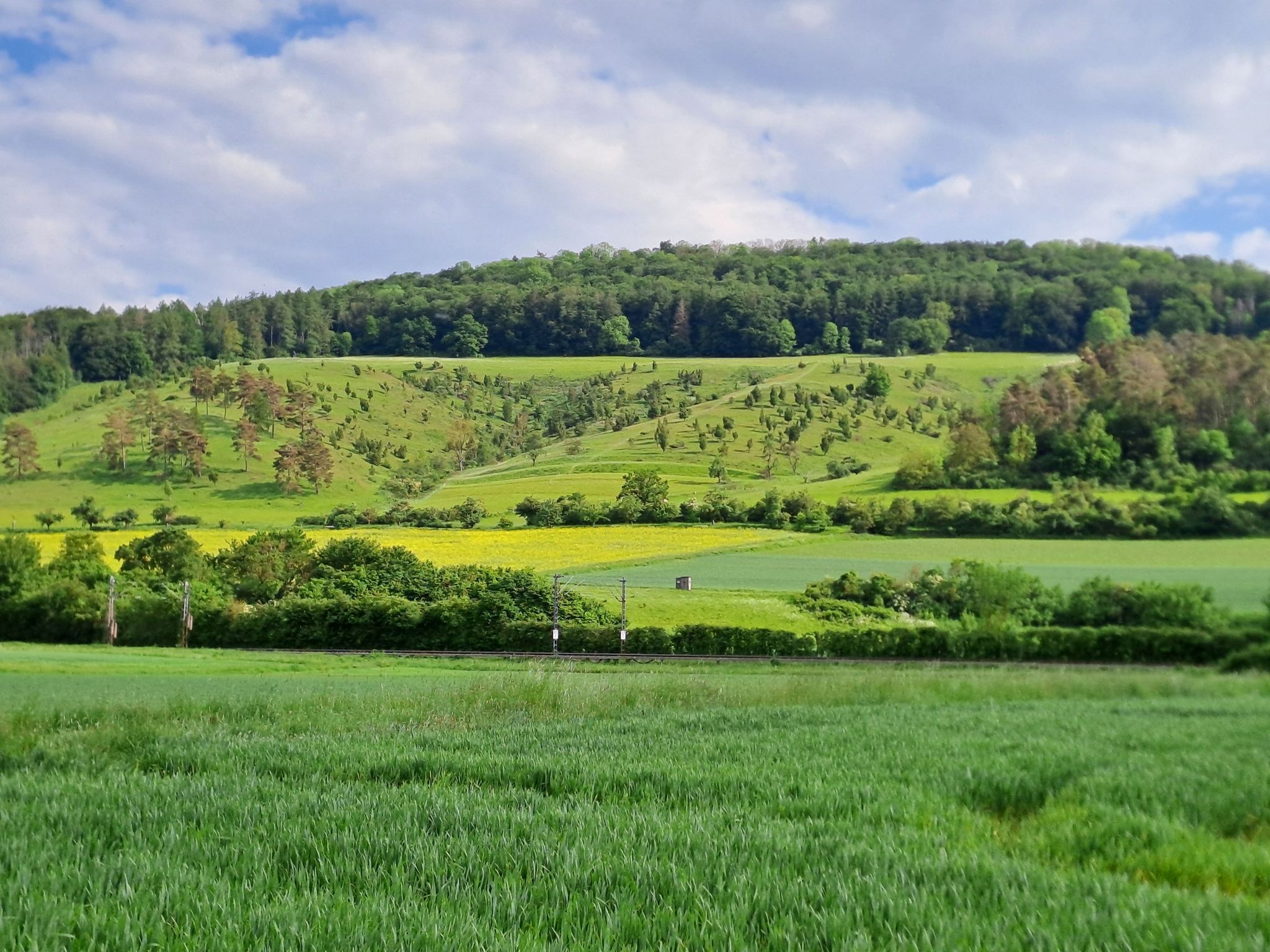 die Landschaft erinnert mich ein bisschen an die Eifel