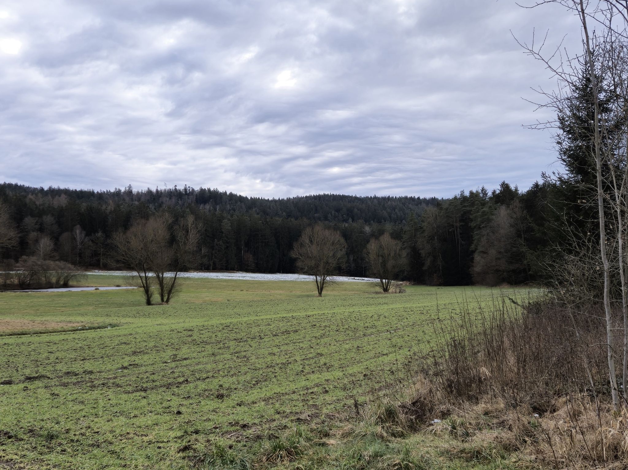Bei Fraunehäusl