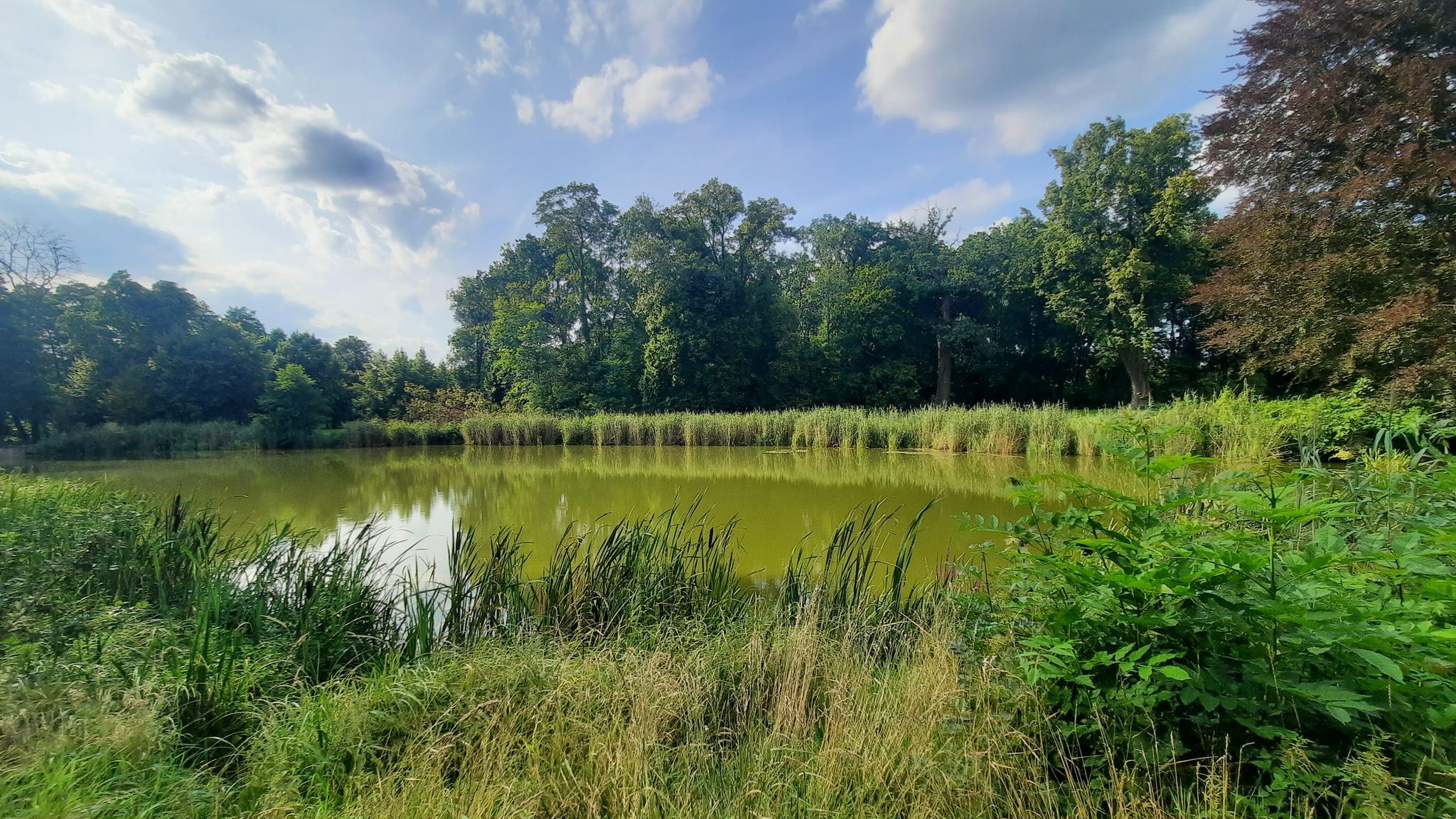 Teich im Park Trampe