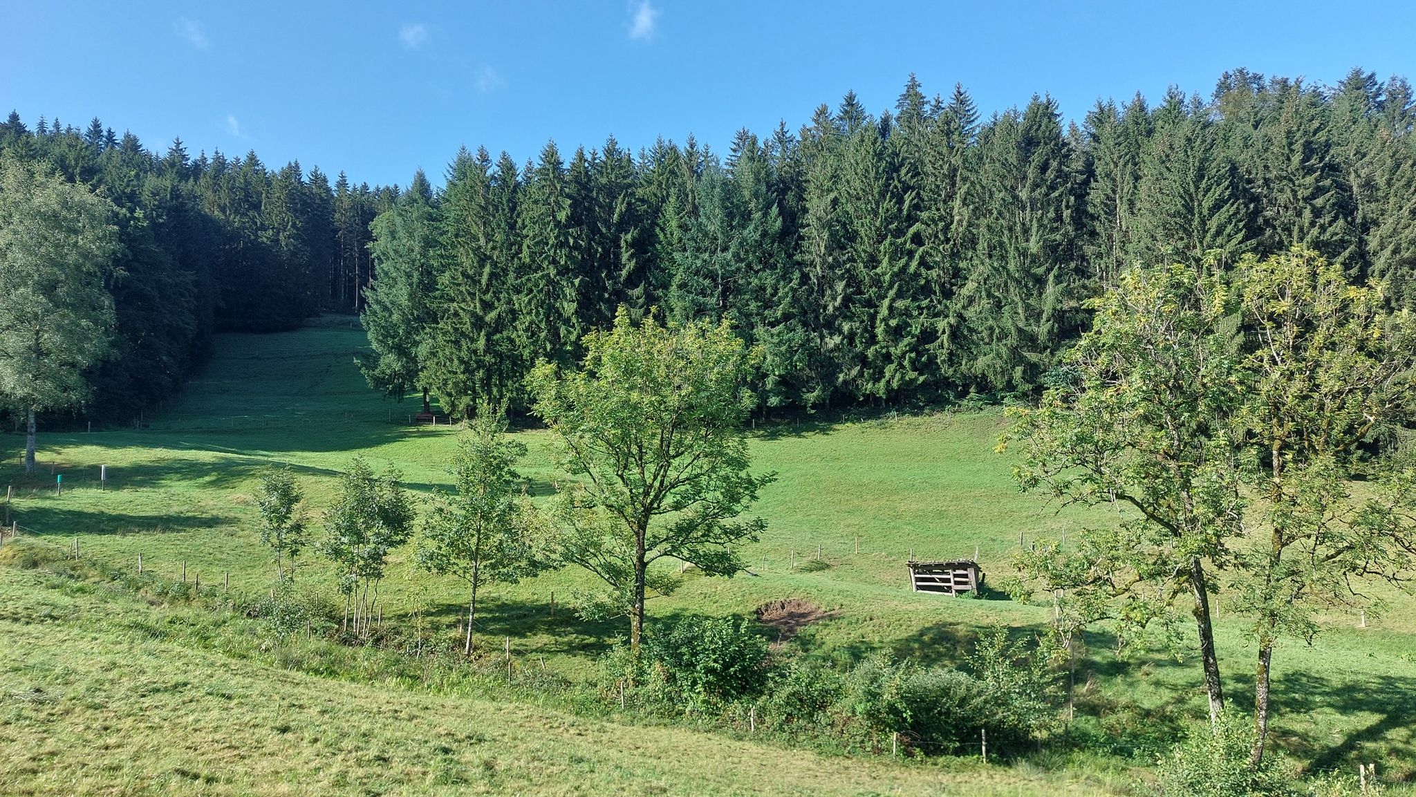 Am Rüttlersberg