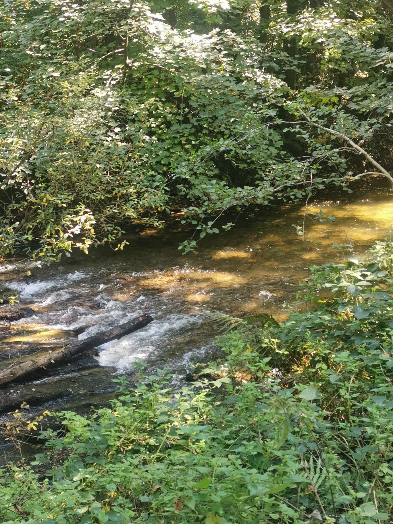 plym valley trail