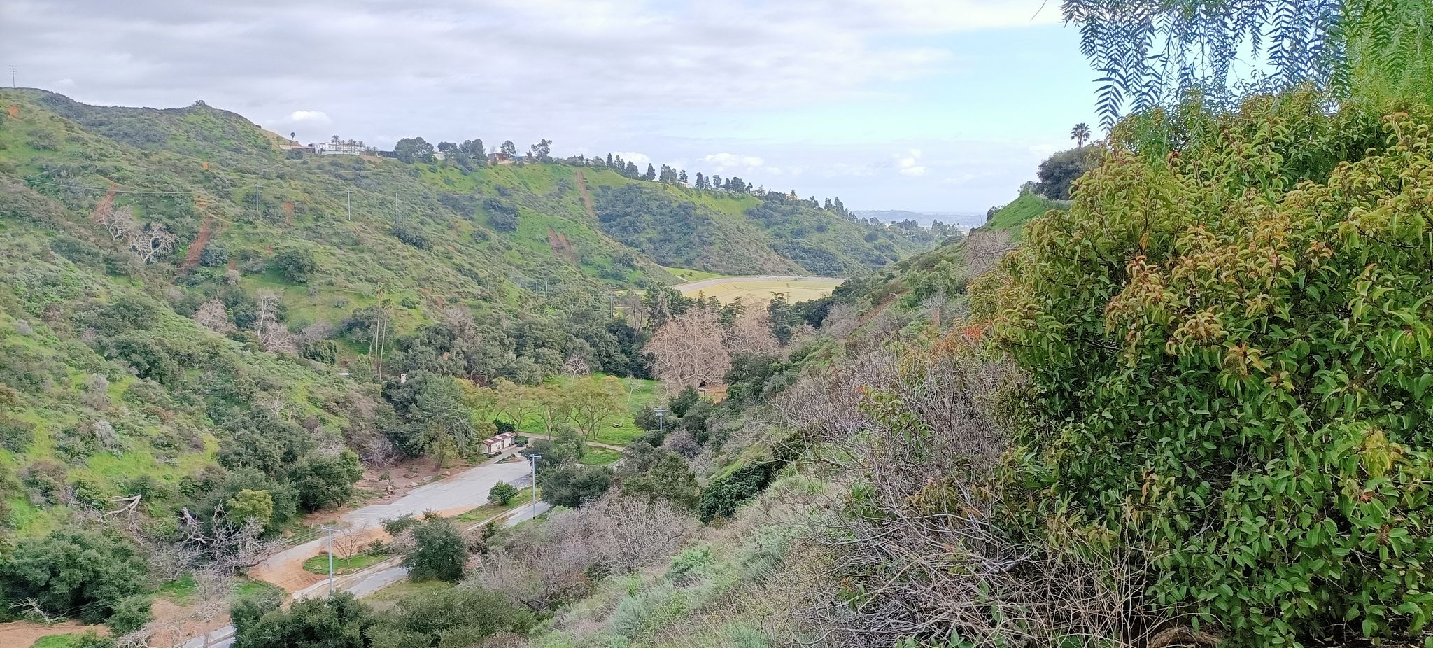 Lush green hills and a valley with a winding road under an overcast sky. - Franklin Canyon Loop