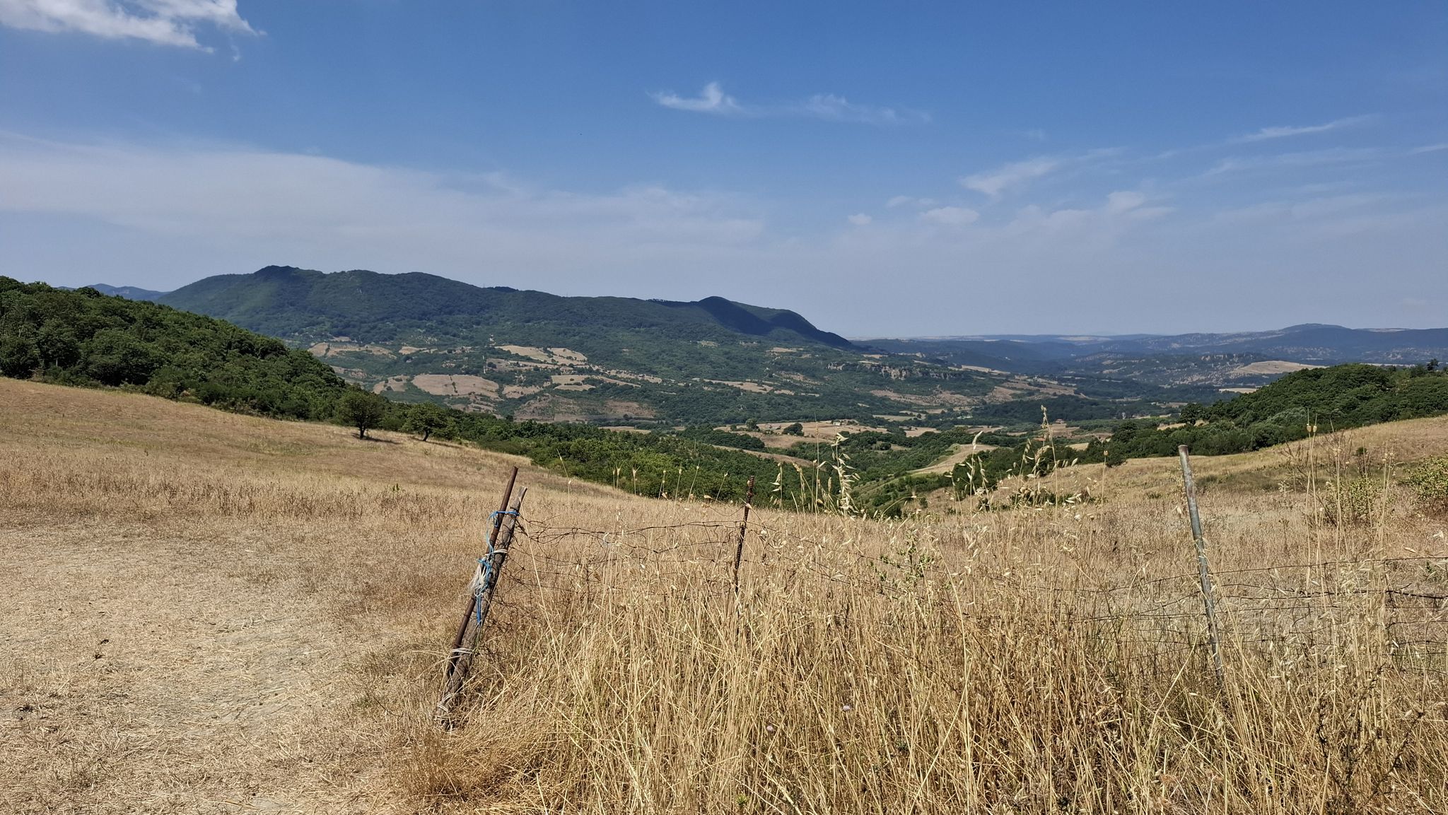 Nella riserva tolfetana.