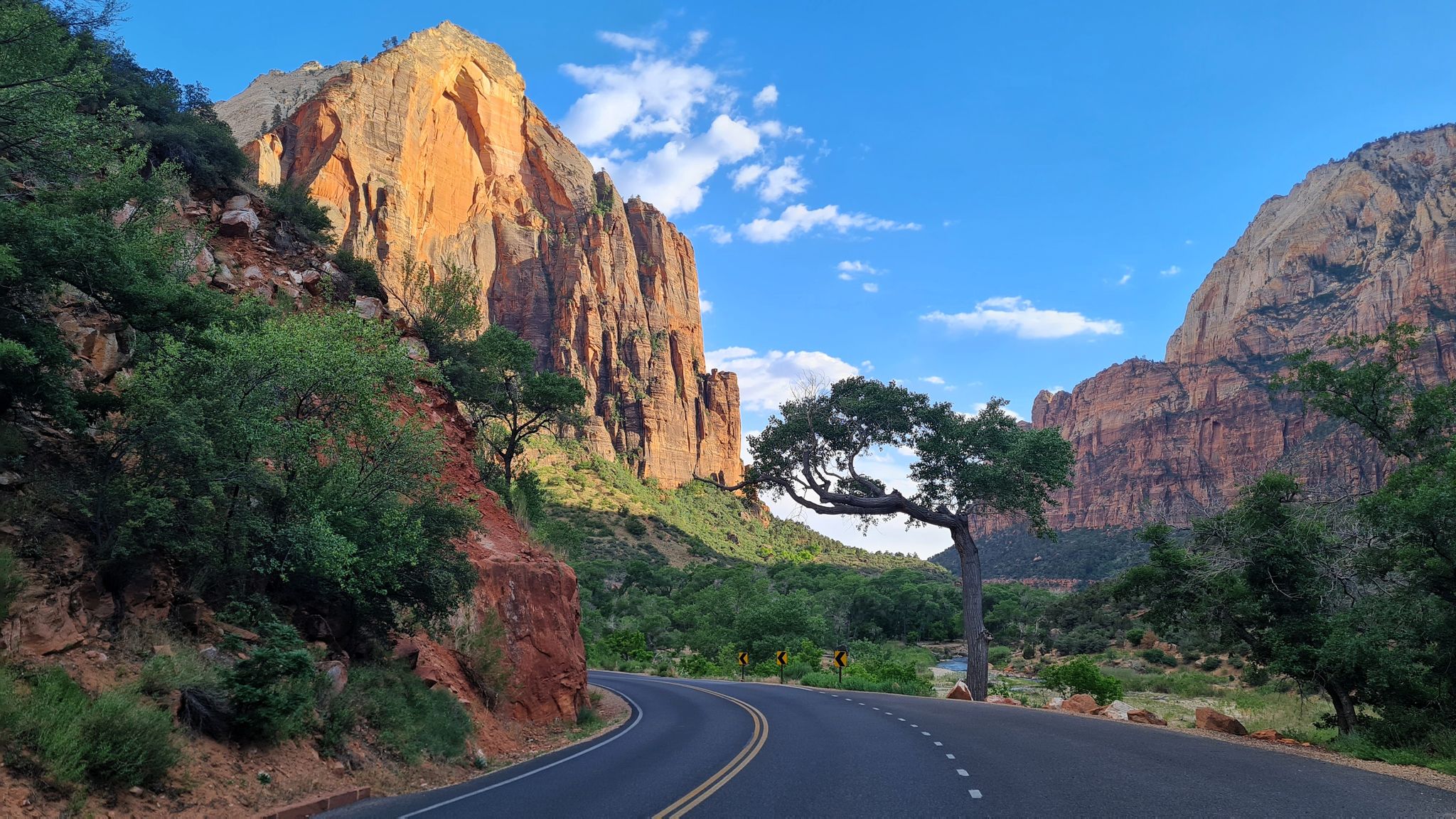 Winding road through a valley with towering red cliffs and green trees. - Temple of Sinawava – Temple of Sinawava loop from Zion Lodge