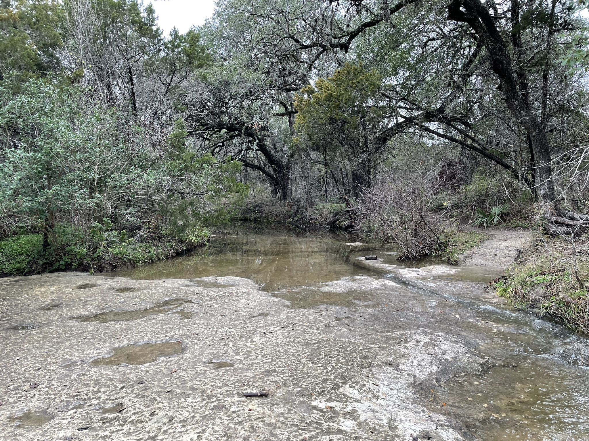 A shallow, rocky stream flows through a dense, overcast forest. - Mary Moore Searight Metro Park Loop Trail