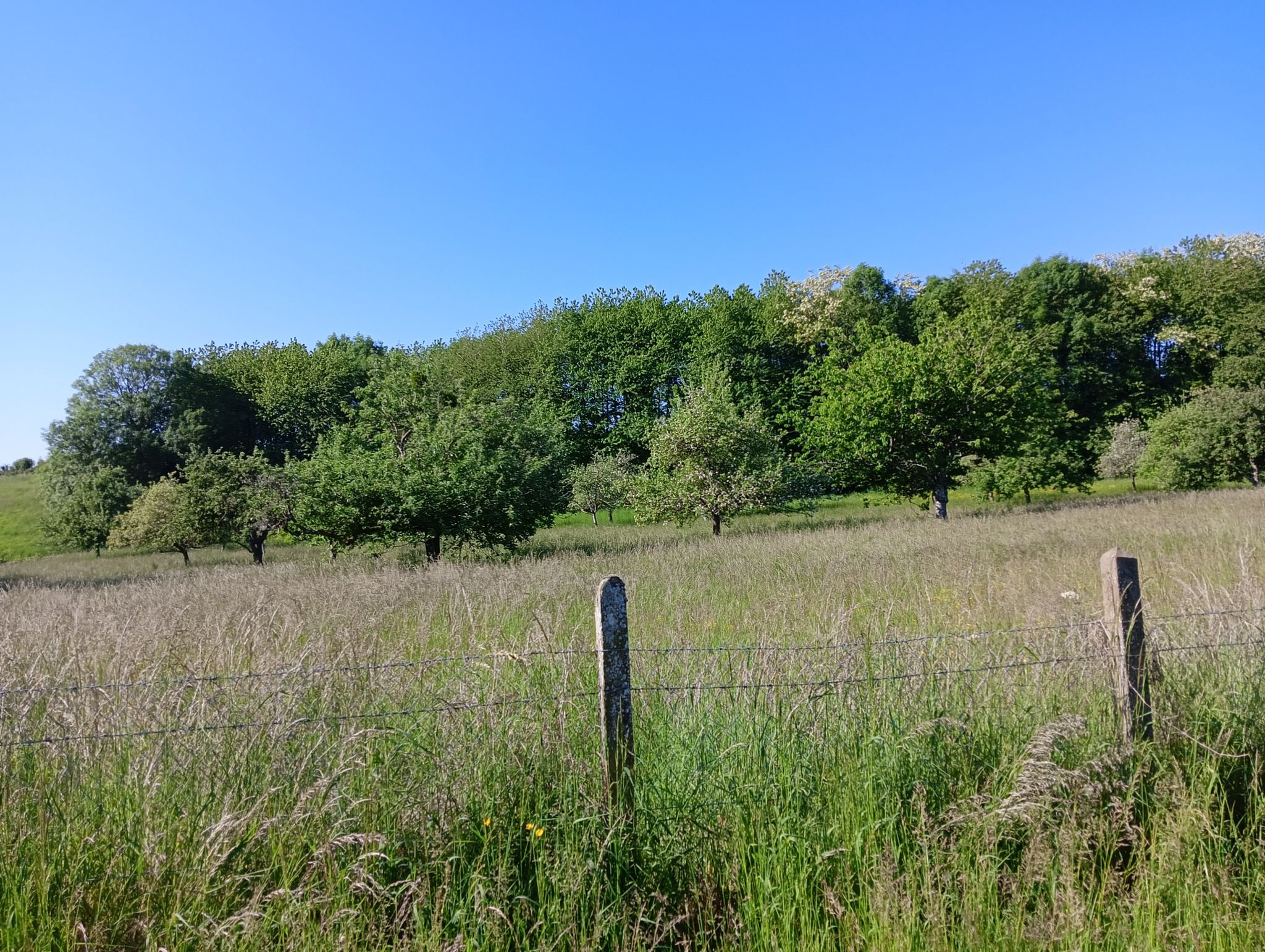 campagne sarthoise