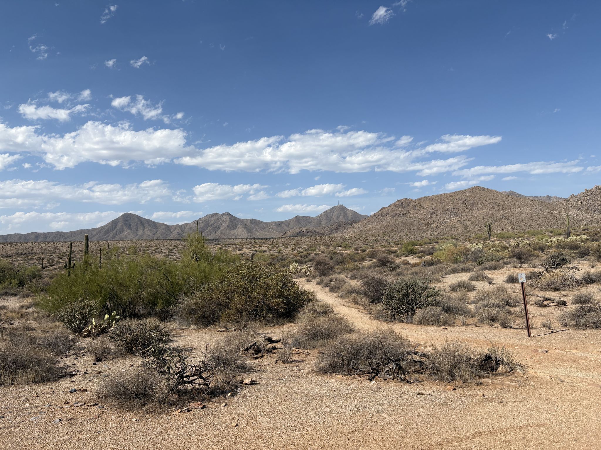Wide desert landscape with a dirt path, mountains, and blue sky. - Pemberton Trail Loop