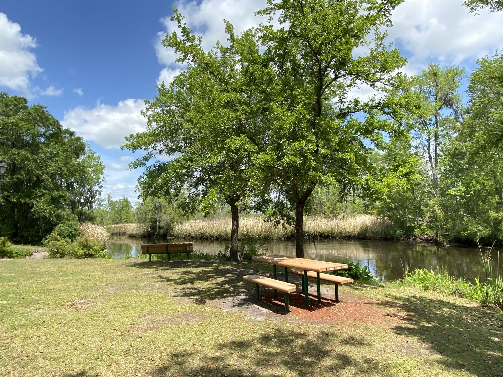 Picnic table and benches under trees next to a river on a sunny day. - Running loop from Richmond Hill
