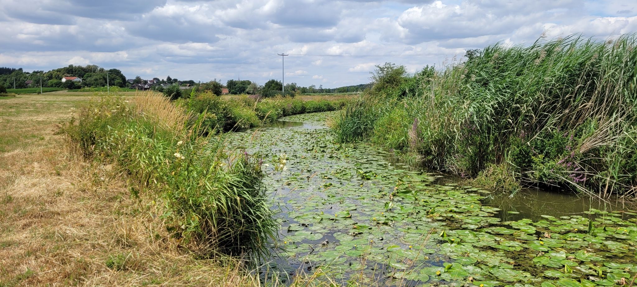 Die Altmühl bei Jochsberg