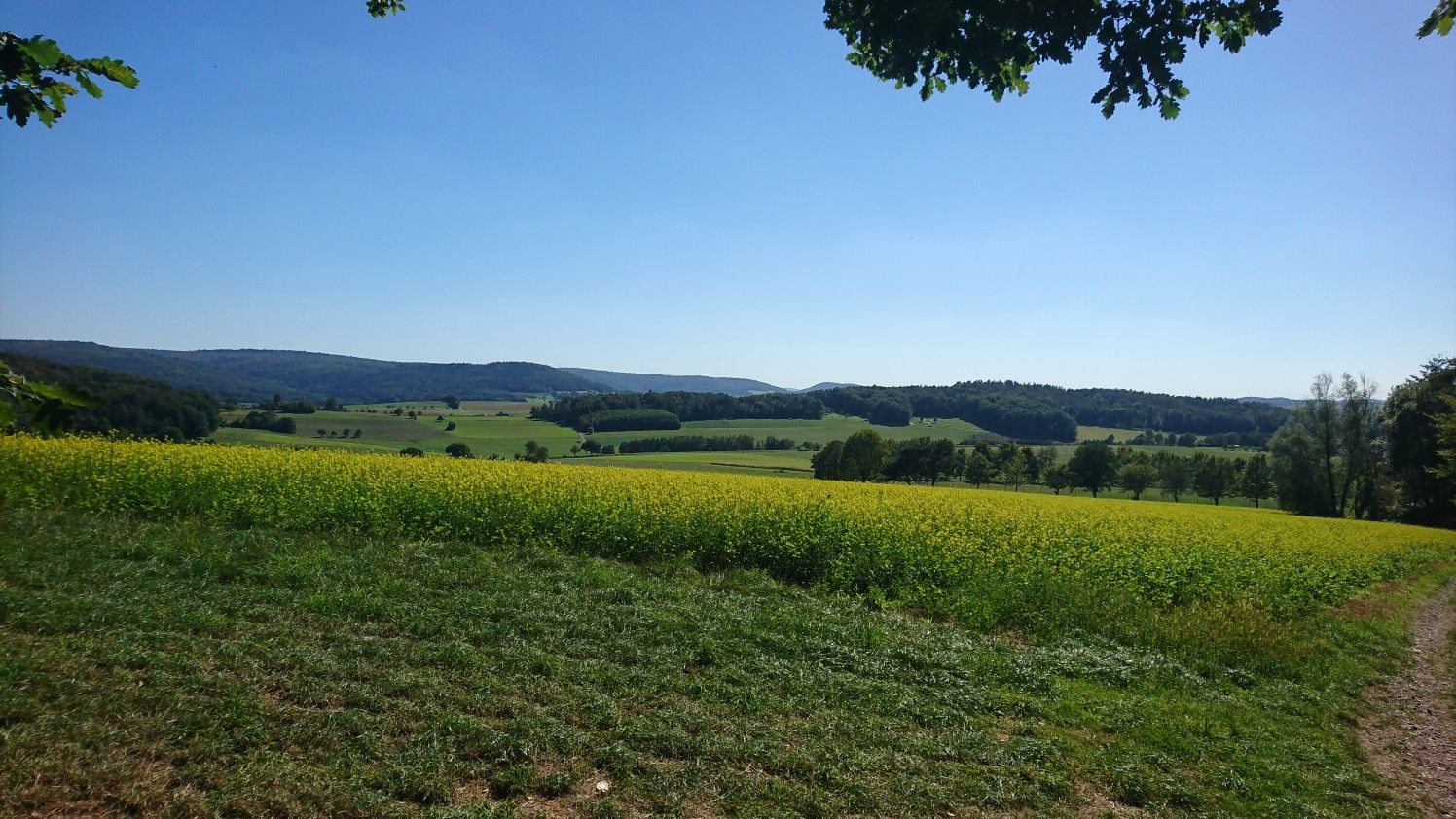 Wunderschönes Westerngrund 