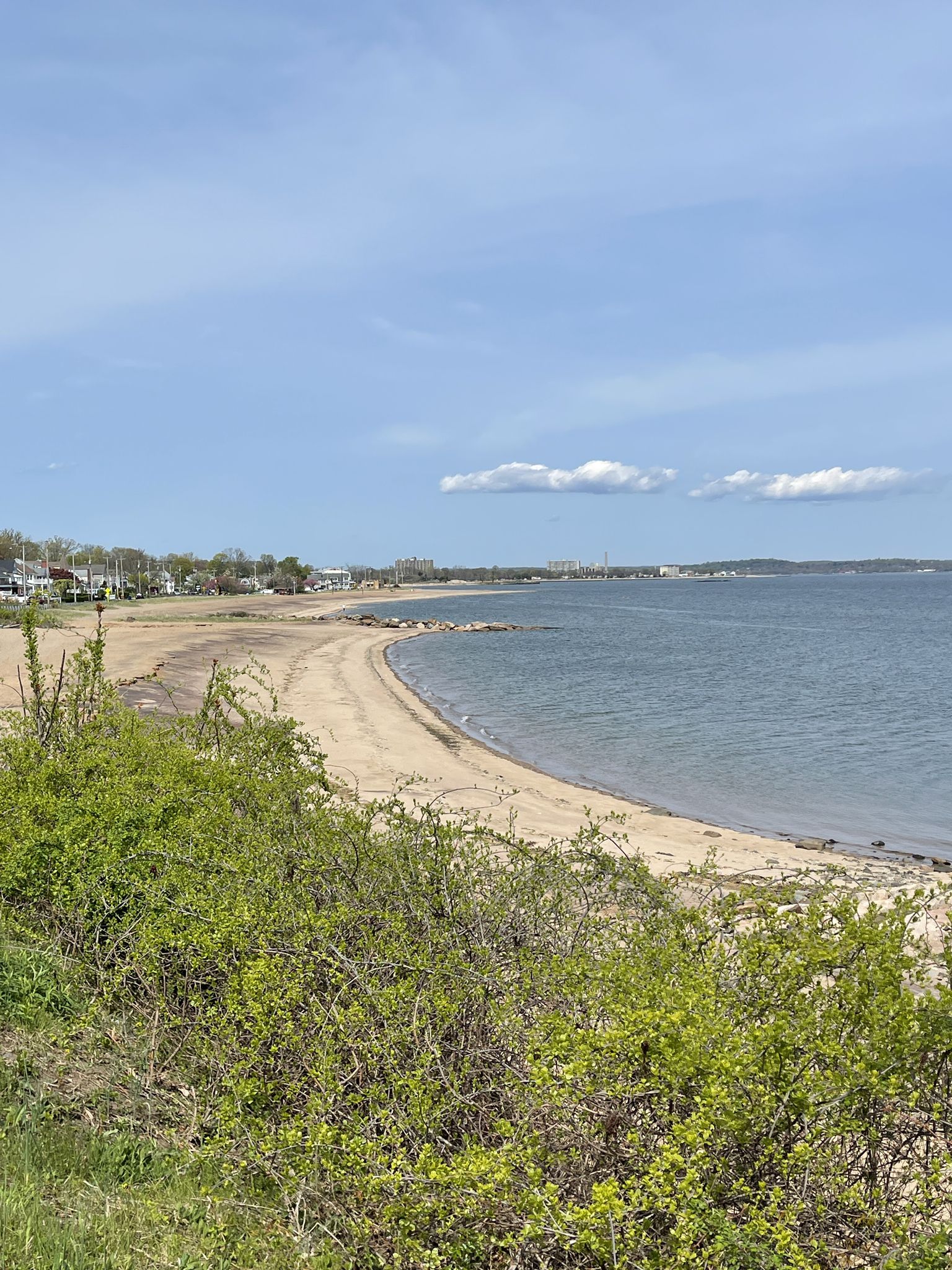 A curved sandy beach meets calm ocean water, with green bushes in the foreground. - Silver Sands State Park Beach – View on the harbour of Milford loop from Seymour