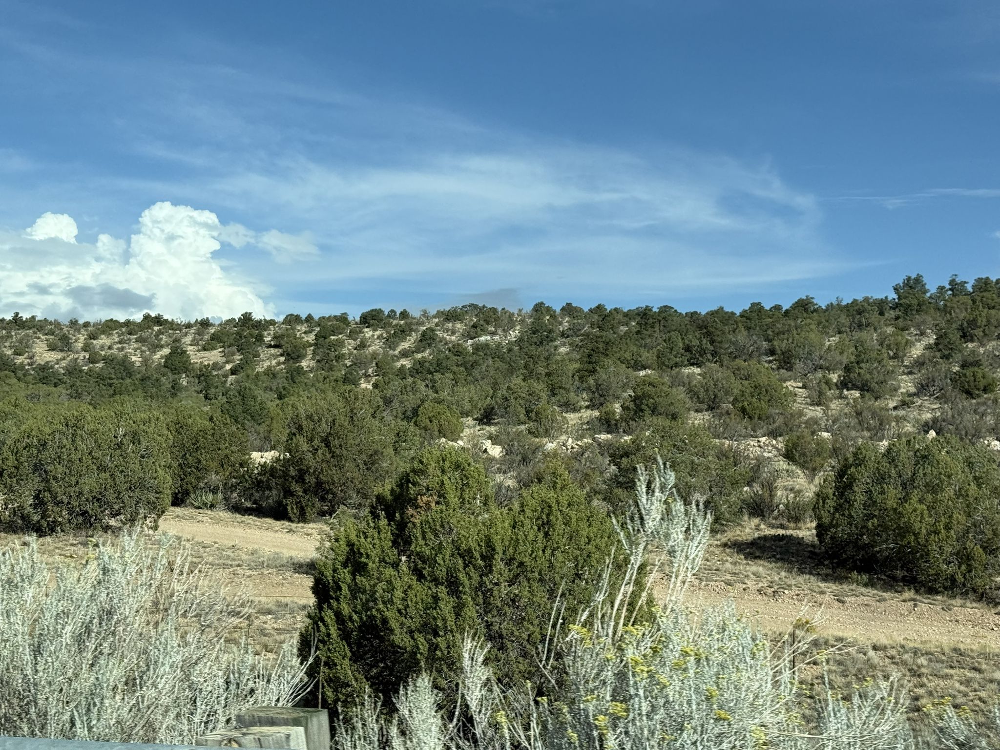 Hilly landscape with green shrubs and trees under a blue sky with white clouds. - Hackberry General Store to Grand Canyon Caverns via Route 66
