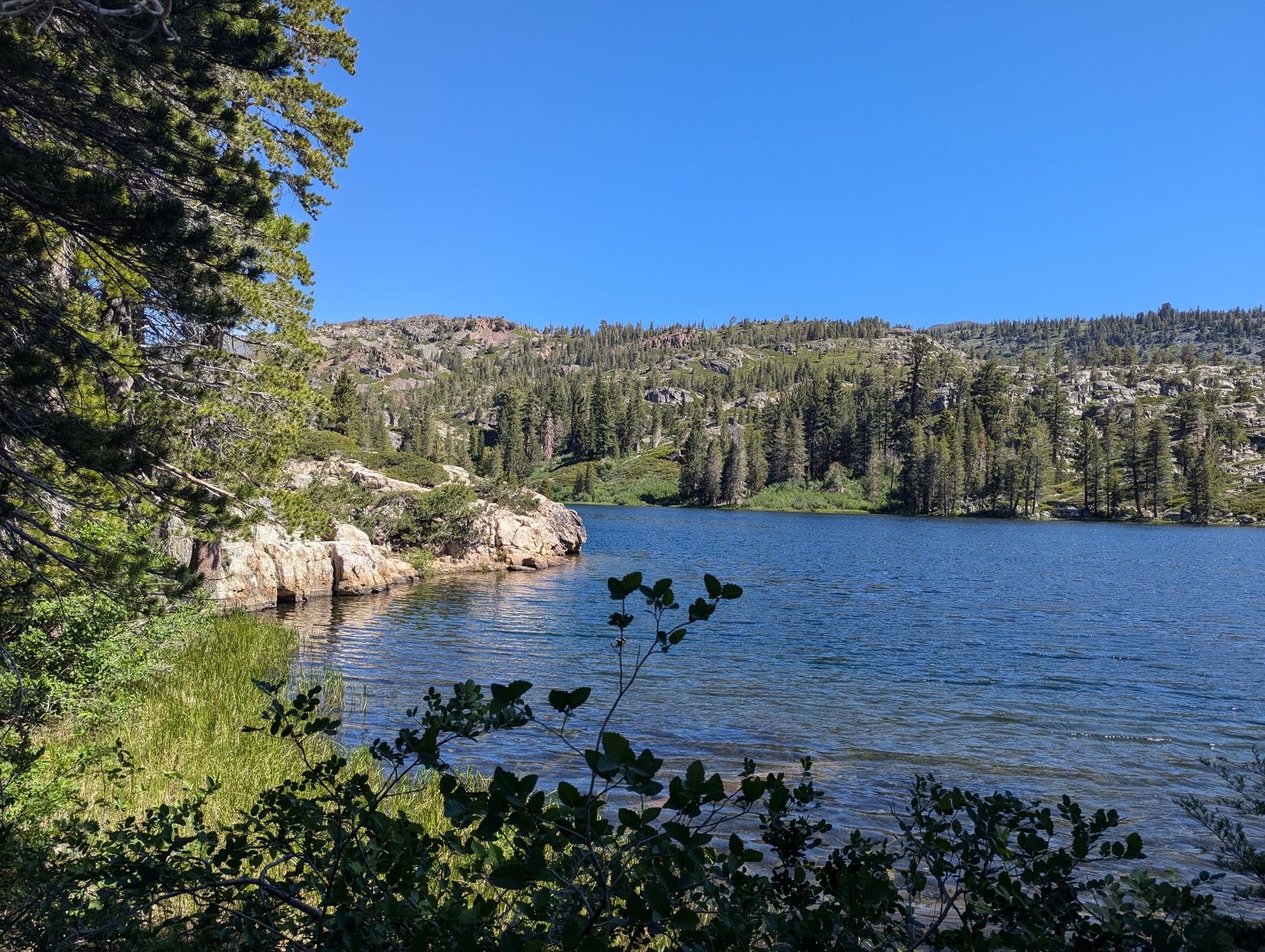 A serene blue lake bordered by green trees and rocky terrain on a sunny day. - Grass Lake Trail