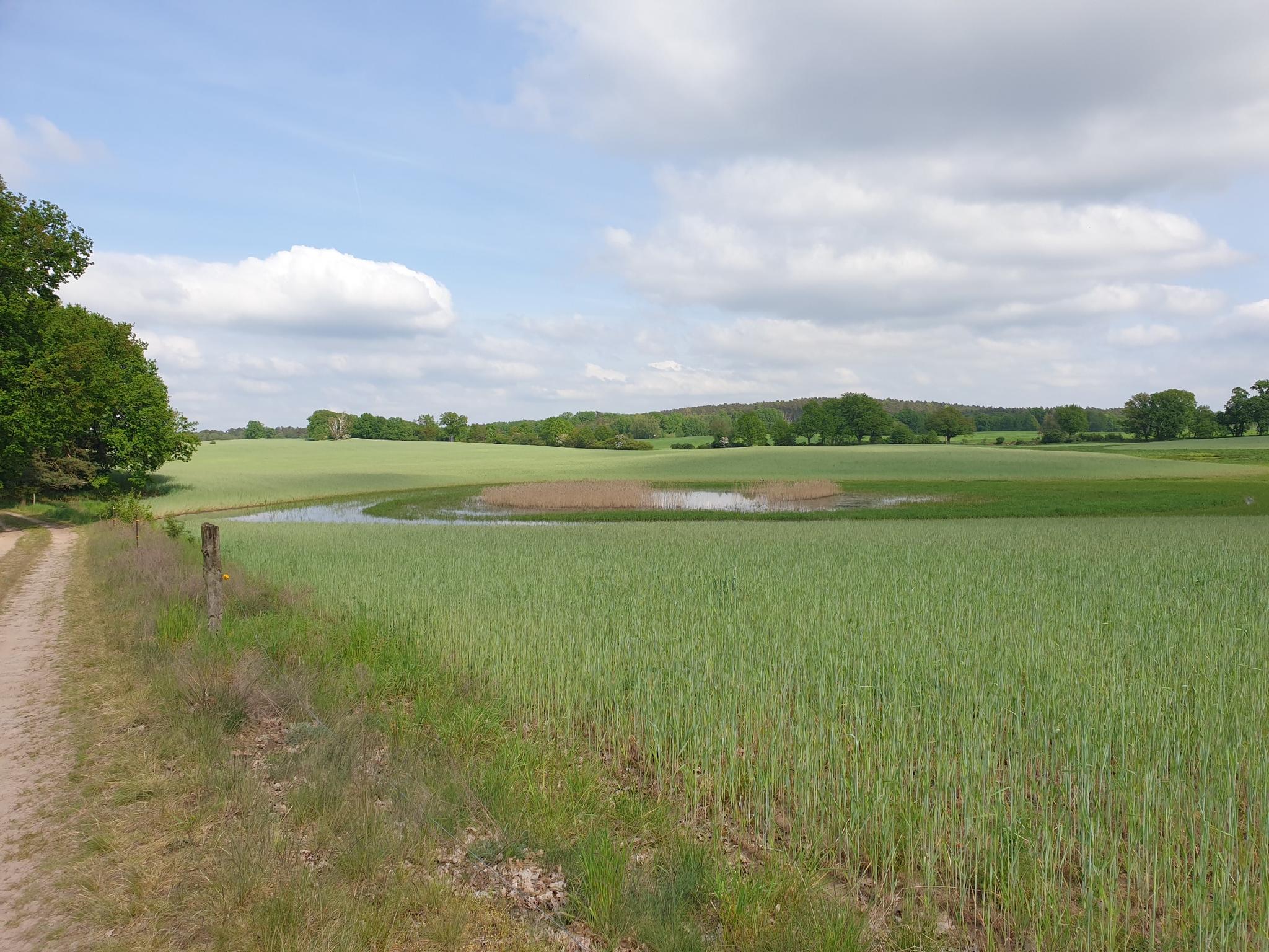 O que descobrir em Reiterswiesener Höhe-Häuserlohwäldchen