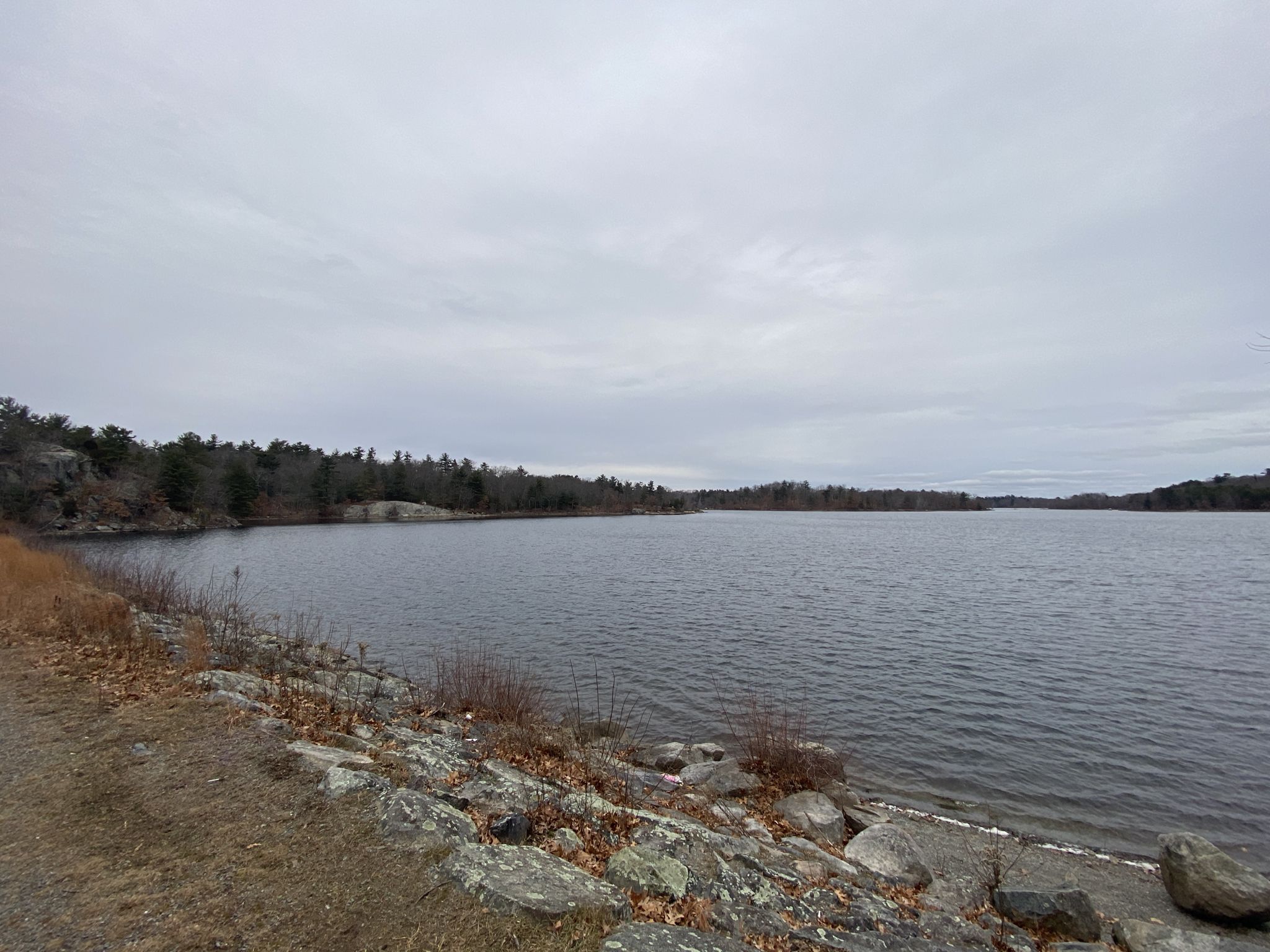 Wide view of a calm lake with a rocky shore under a cloudy sky. - Cornel Path, Overlook Trail & Cookie Road Loop — Lynn Woods Reservation
