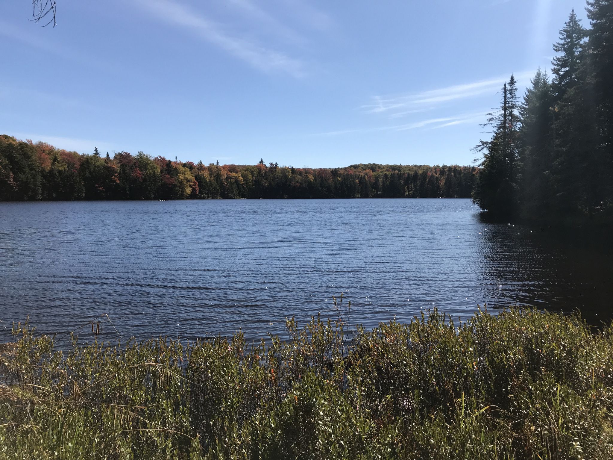 Calm lake surrounded by autumn forest under a clear blue sky. - Atwood Loop