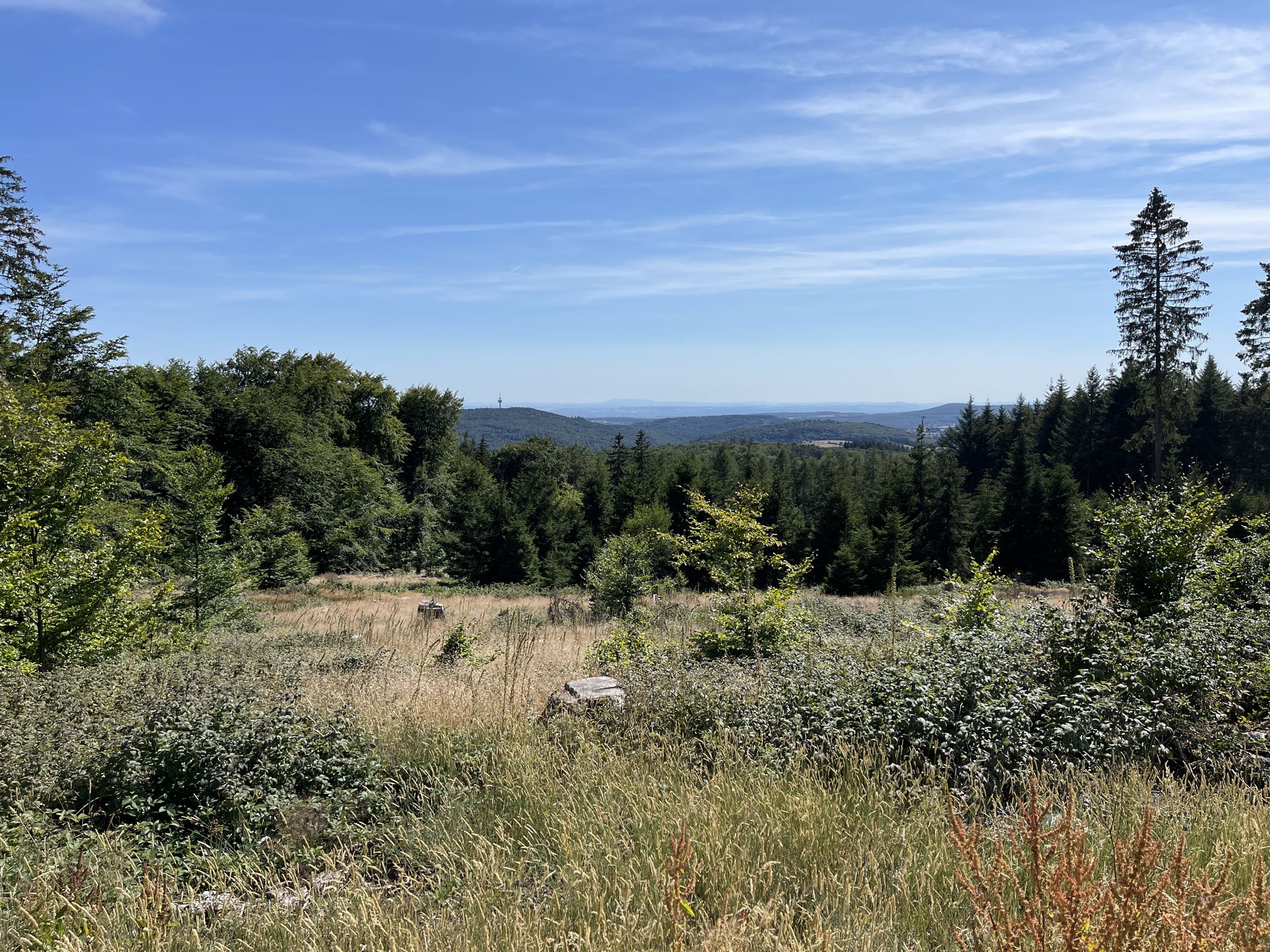 Blick in die Ferne