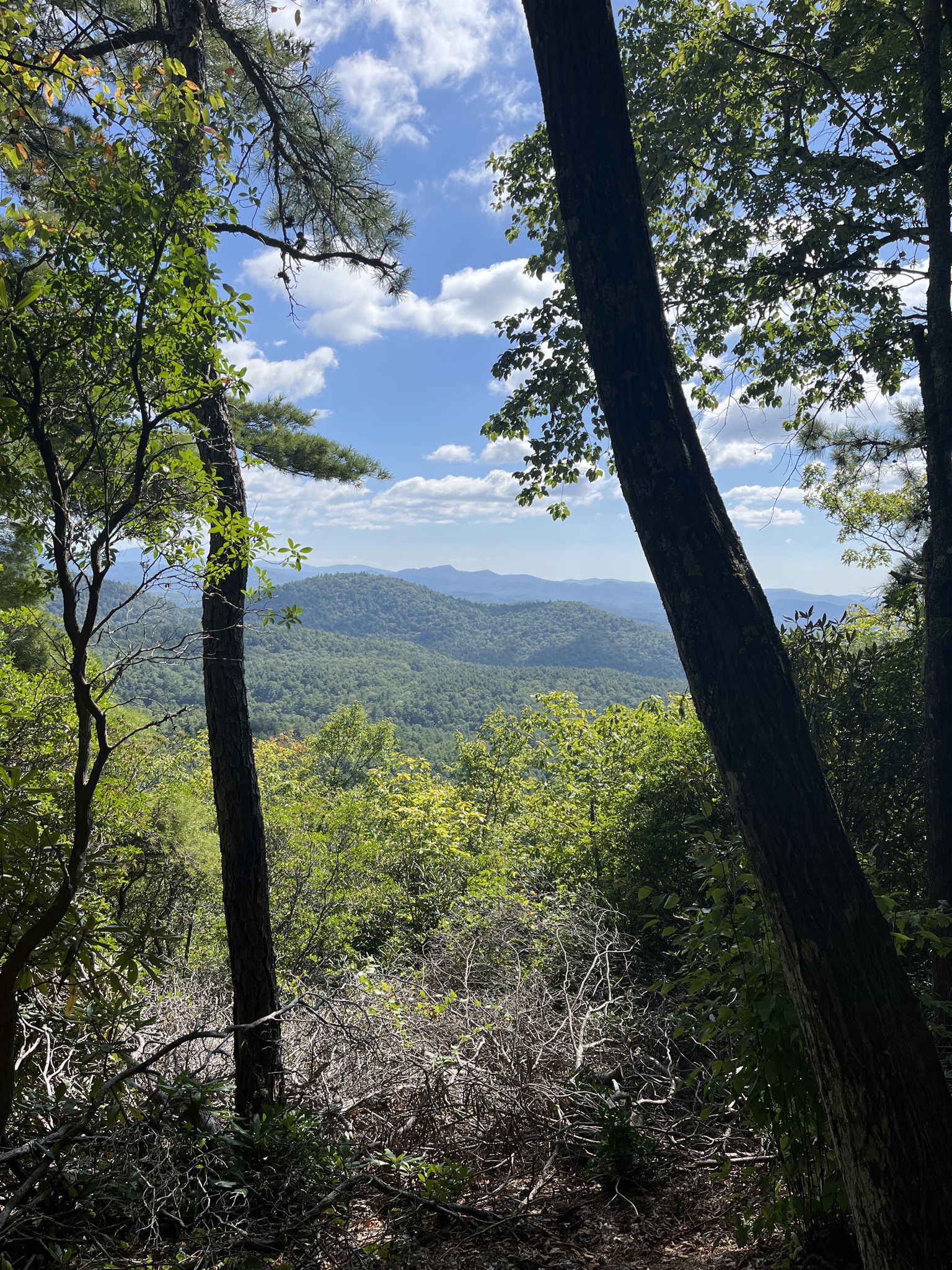 Sunny mountain vista through green trees under a bright blue sky. - Rabun Bald via Bartram Trail