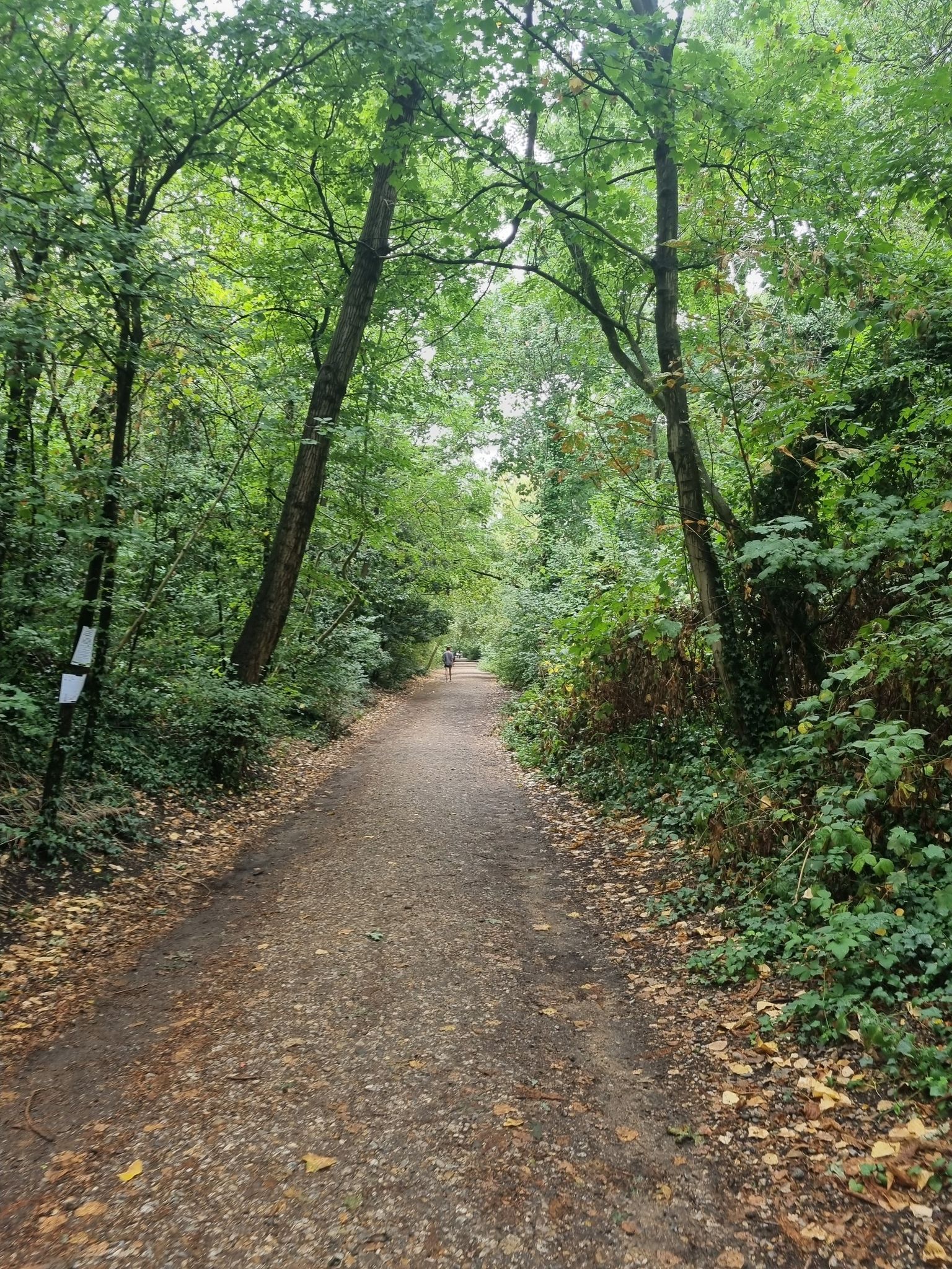 auf der alten Bahnstrecke