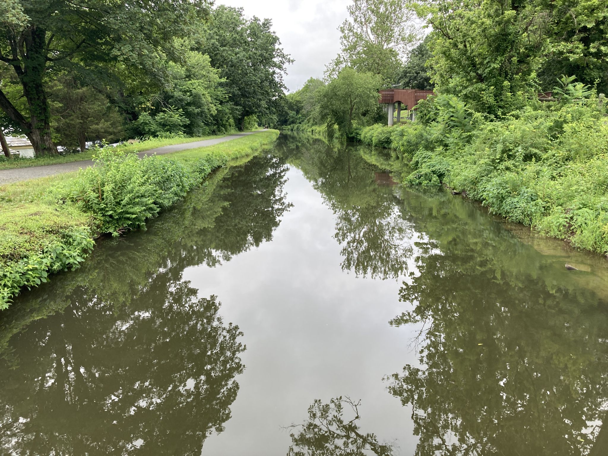 Calm canal reflecting overcast sky, bordered by green trees and a path. - Delaware & Raritan Canal Towpath