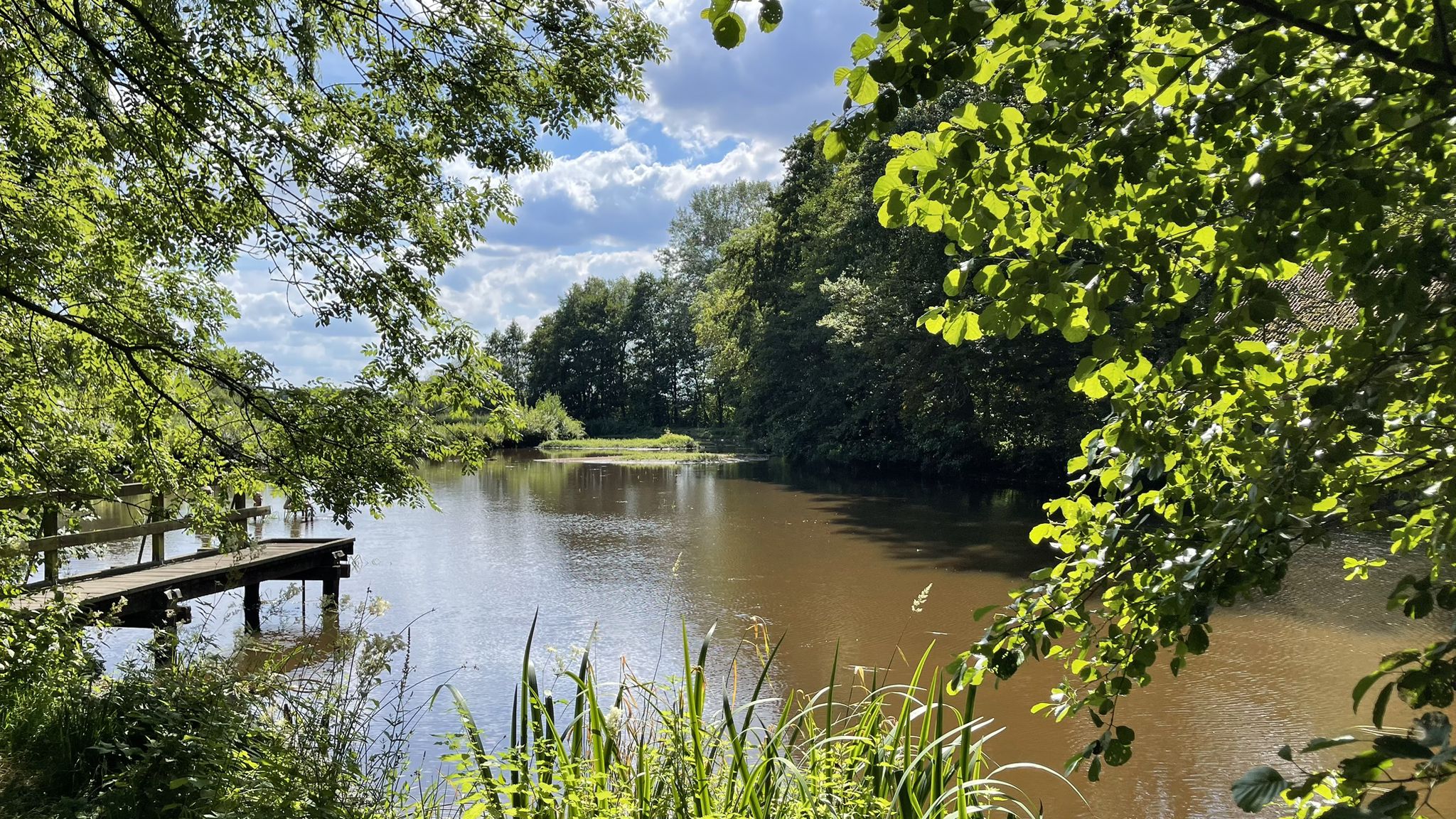 Am Mühlenteich in Heiligenrode