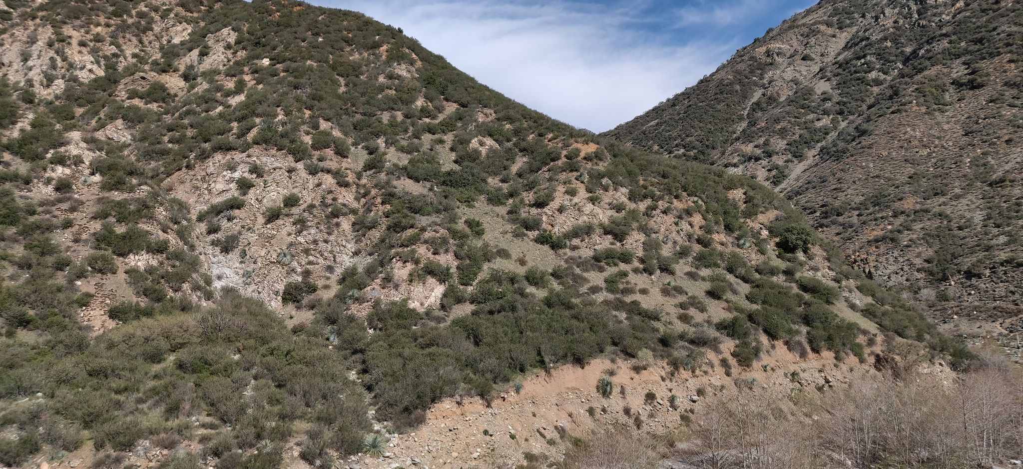 Steep, rocky mountain slopes covered in green brush under a bright sky. - Bridge to Nowhere via East Fork Trail