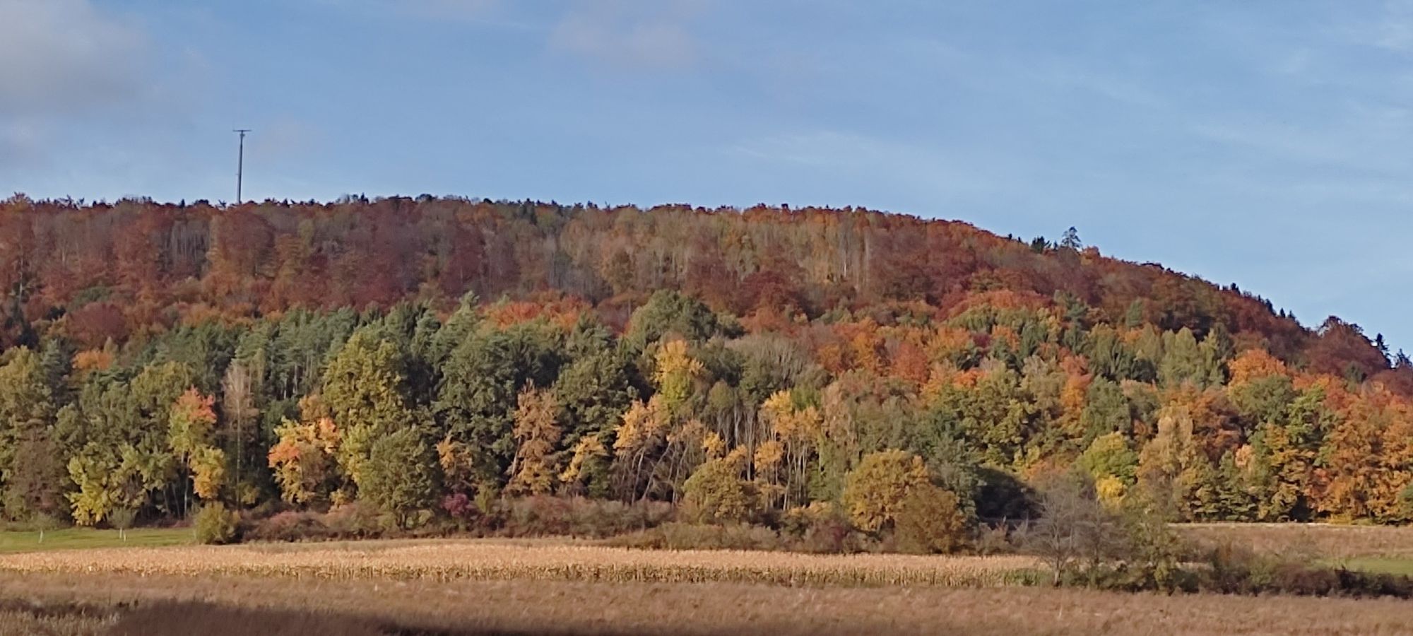 Buchberg