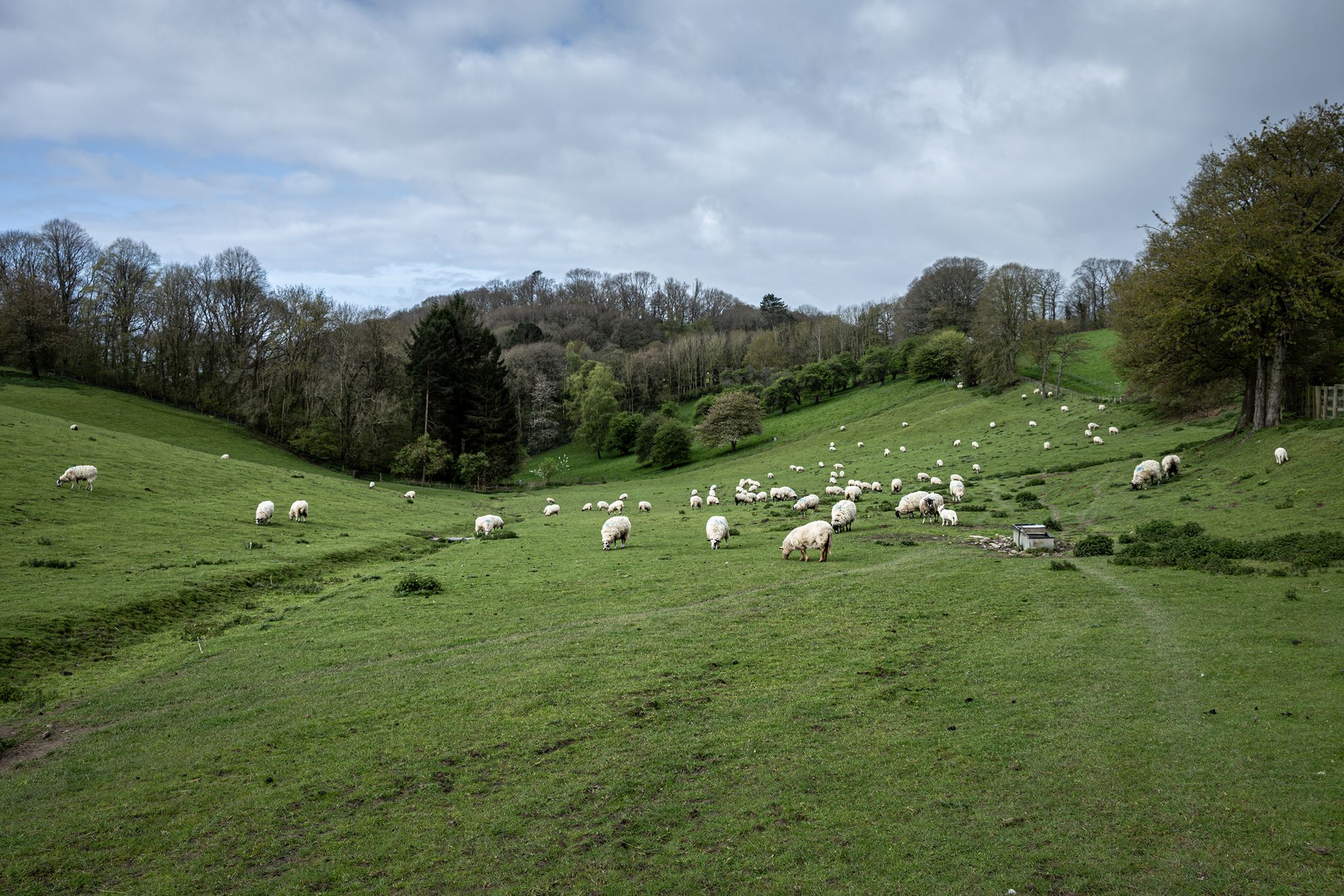 The valley