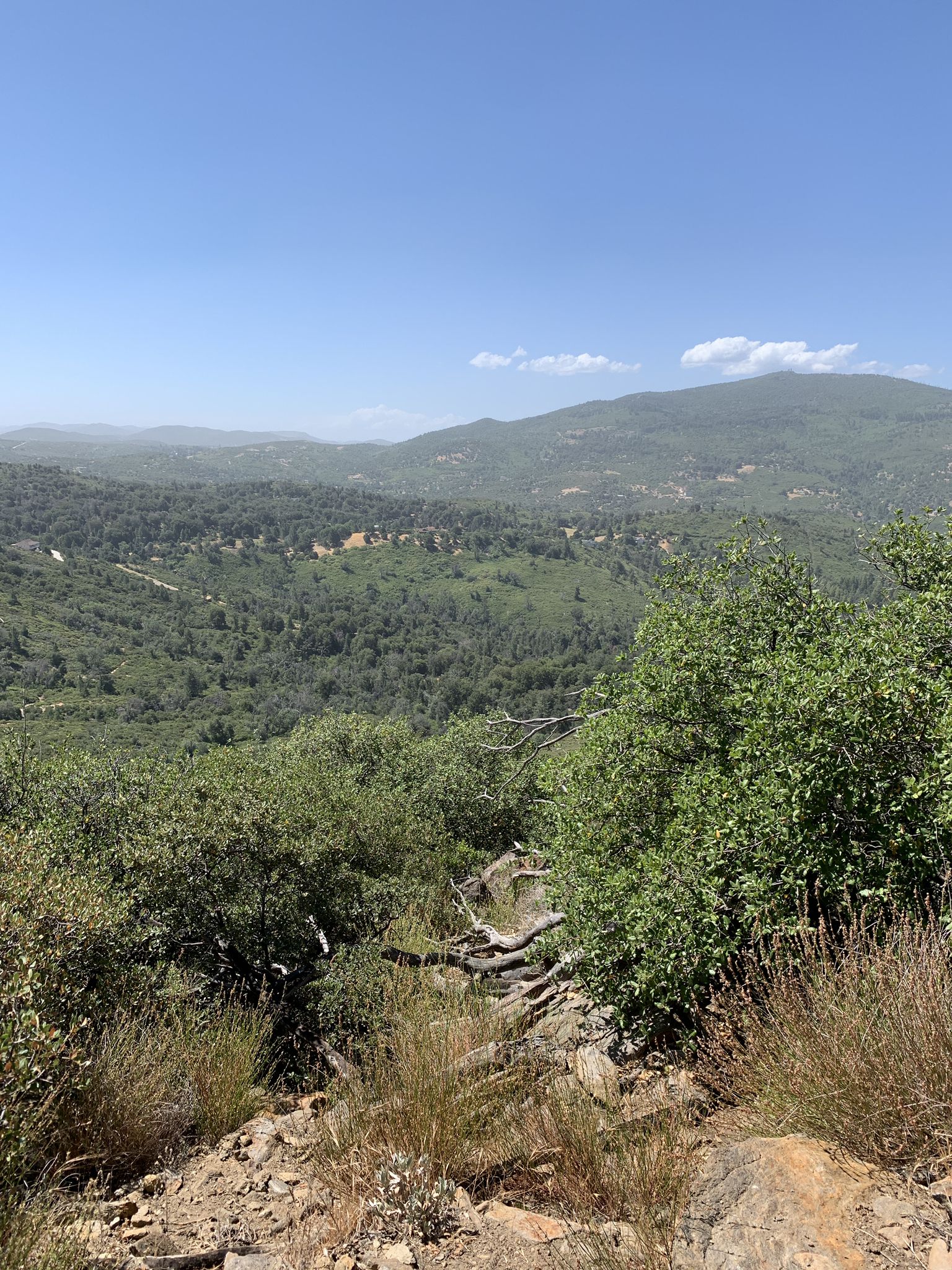 Panoramic view of lush green valleys and distant mountains under a bright sky. - Desert View Trail Loop