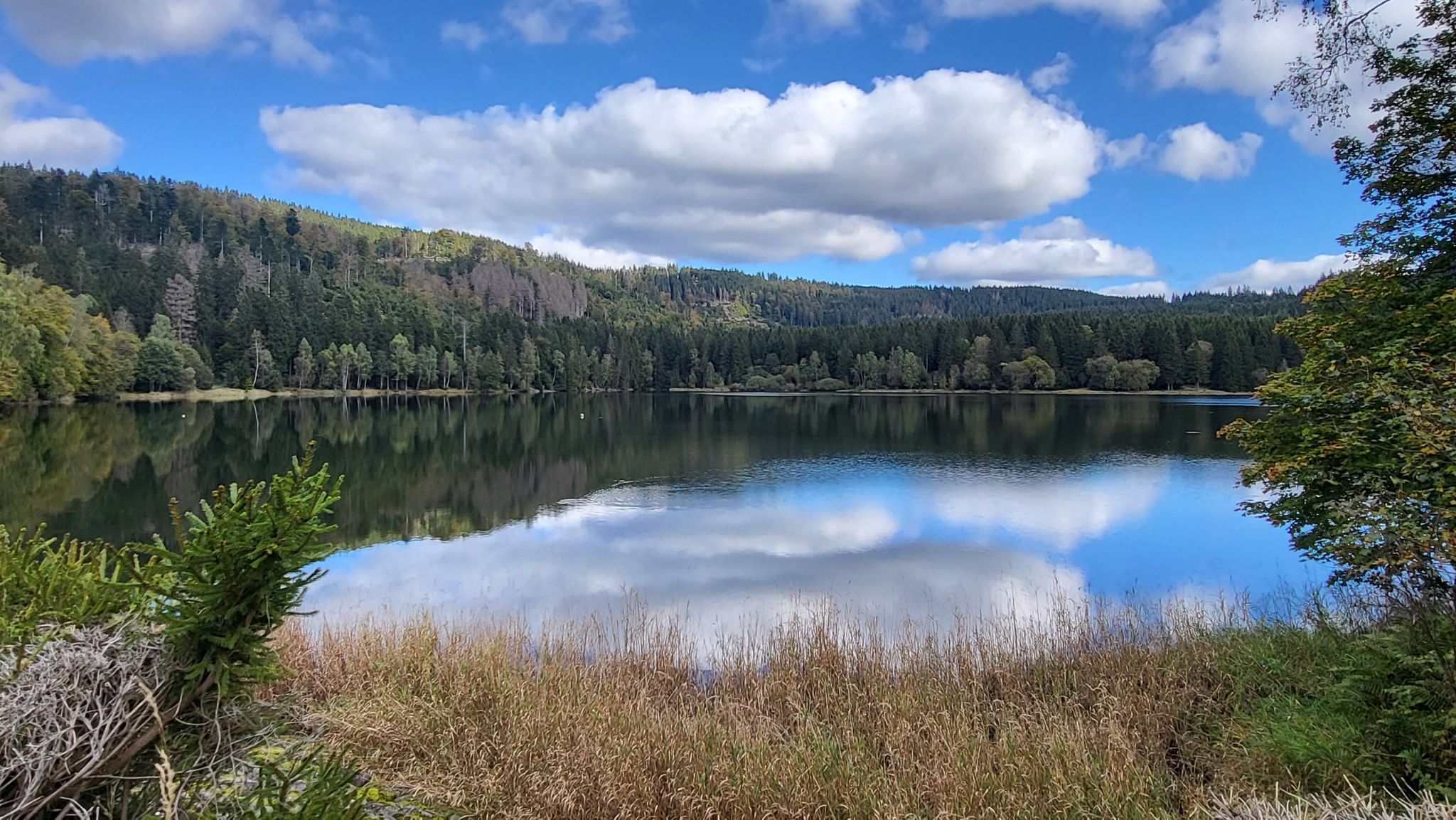 Blick von der Staumauer auf den See