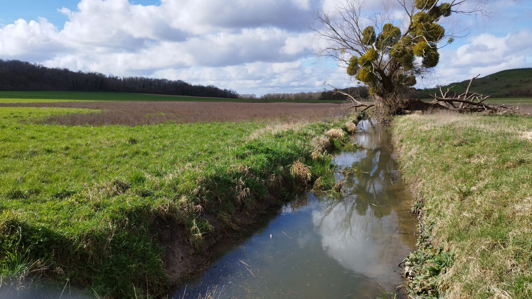 Enfin le ☀️ et toujours de l'eau