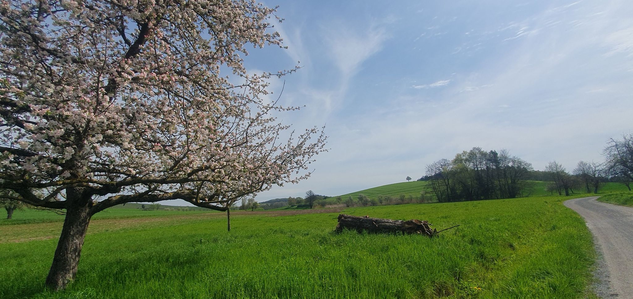 Traumhafte Natur im Kraichtal