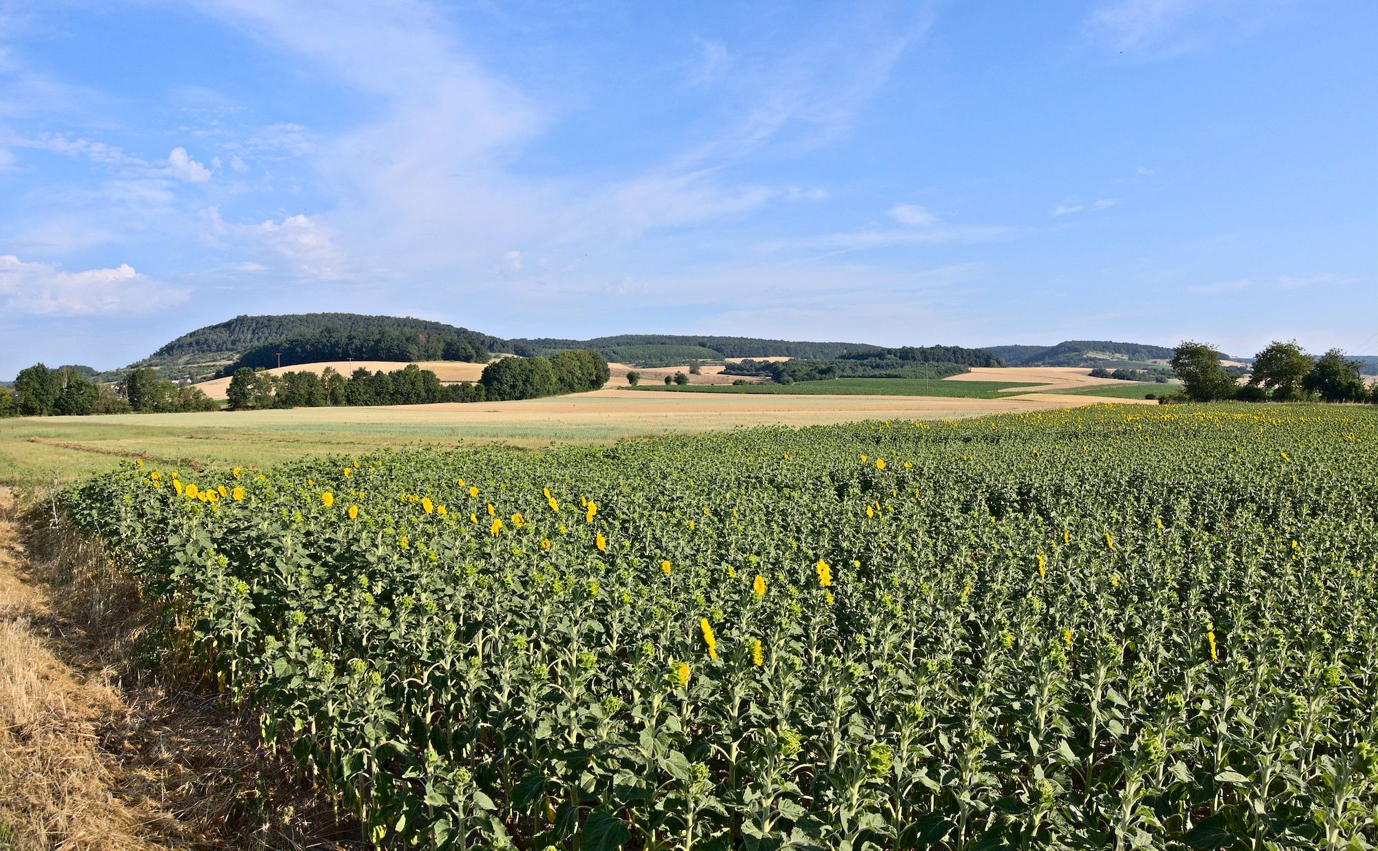 Ich folge zunächst dem Radwanderweg Fränkische Saale