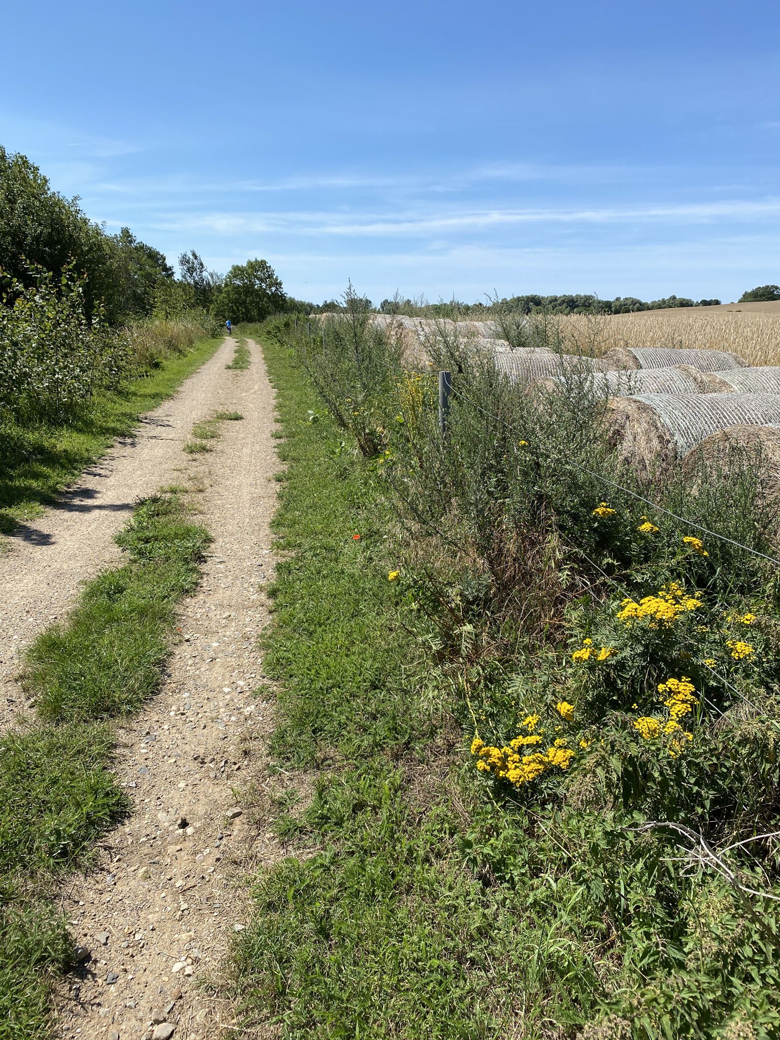mal leichter Schotterweg....