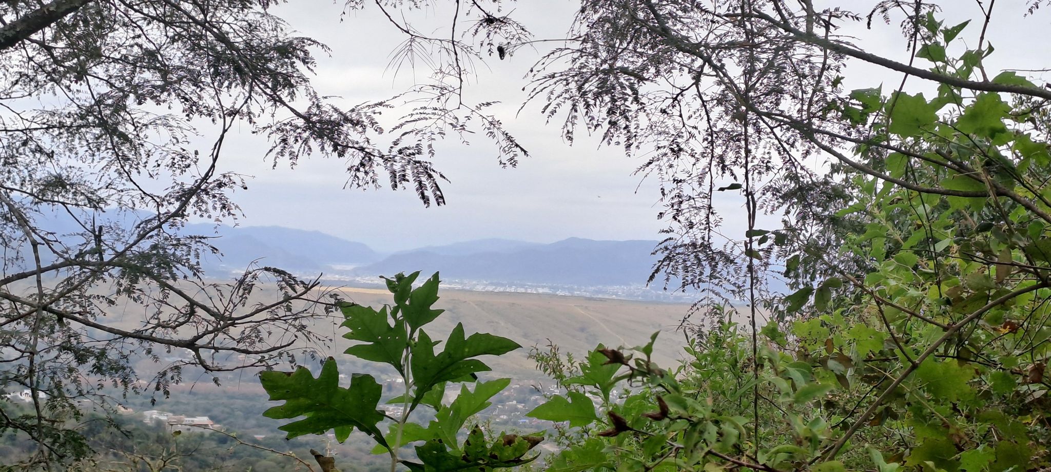 vista de salta