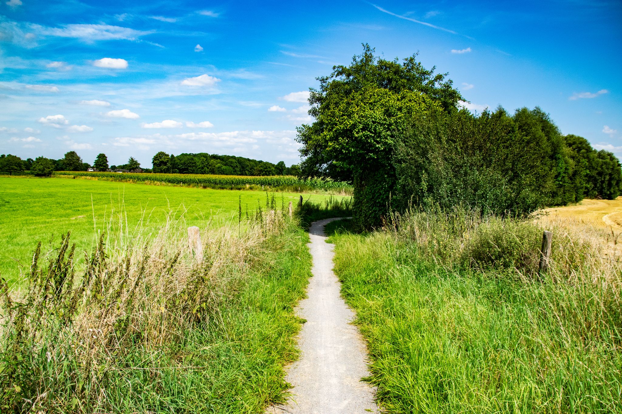 Haus-Giesking-Weg