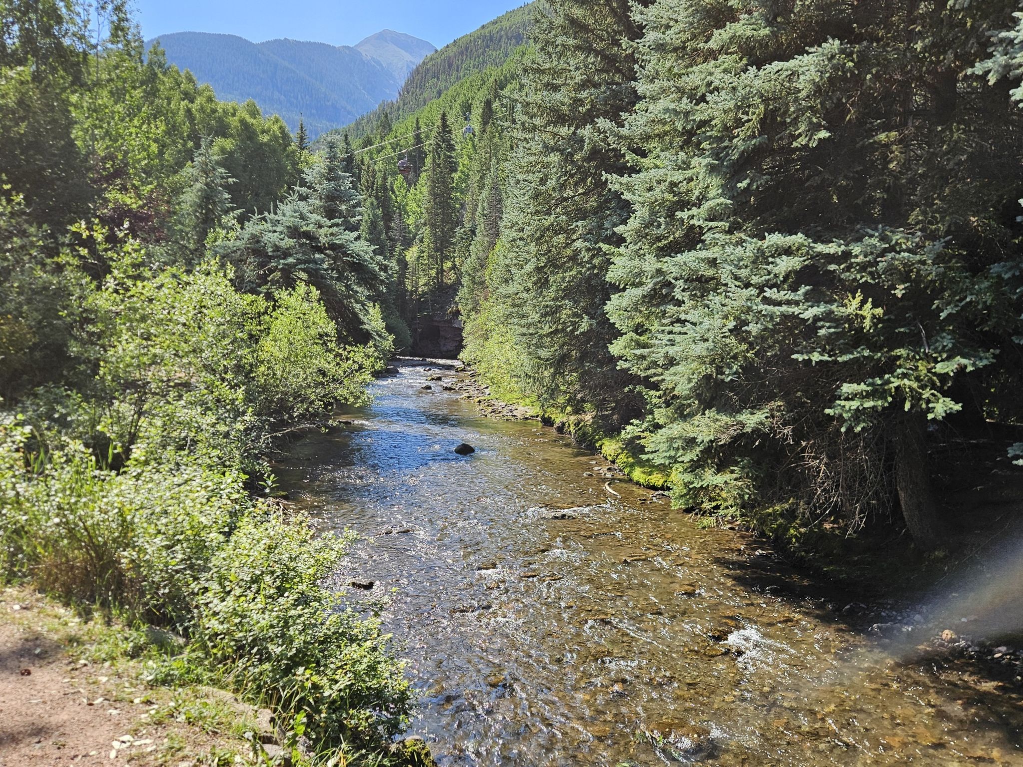 Rocky stream flowing through a vibrant green forest under a sunny sky. - Telluride – Telluride loop from Telluride