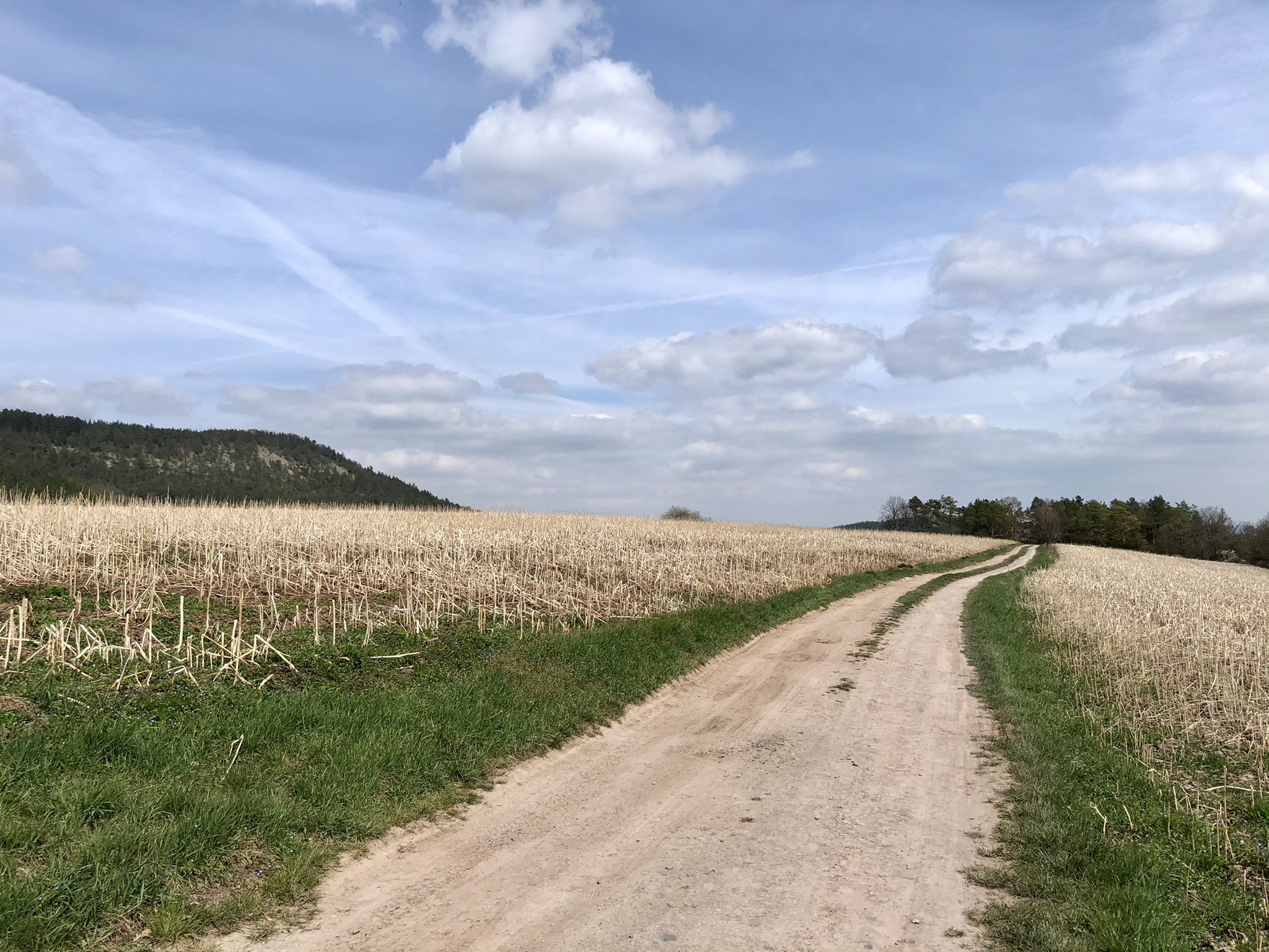 Weg Richtung Zeigerheim