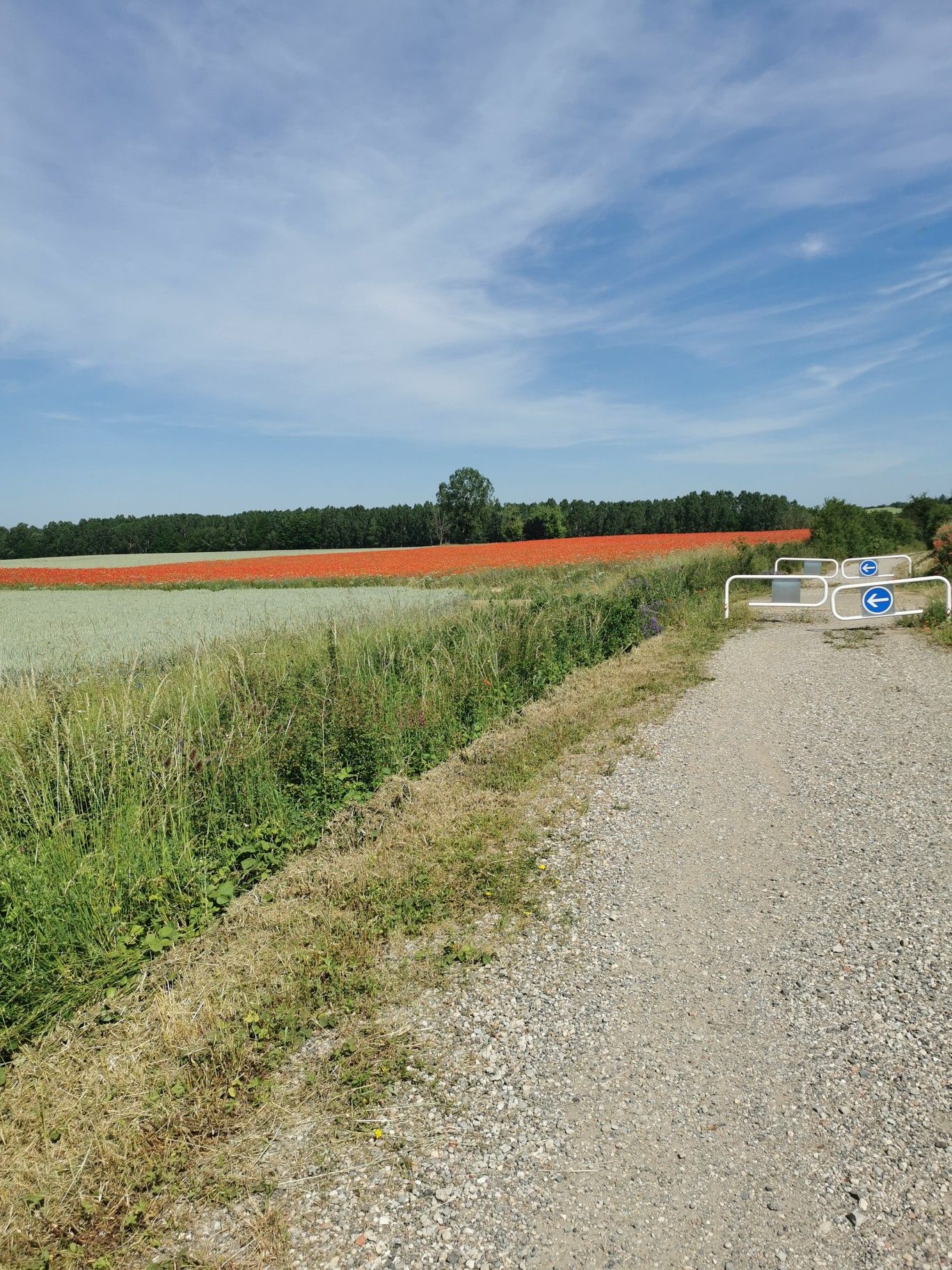 les coquelicots de nomeny 