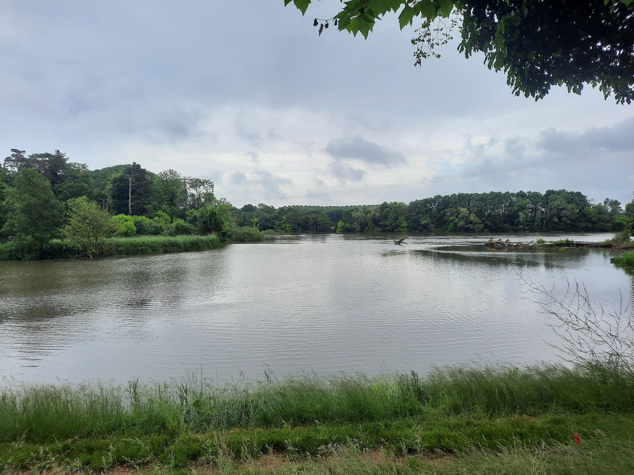 Saone