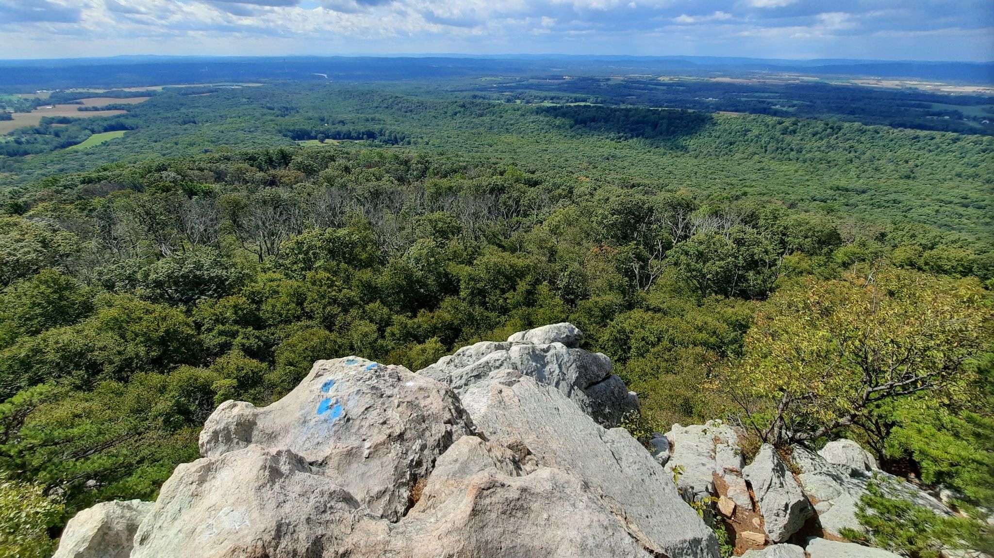 High angle view of a vast green forest from a rocky peak. - Mountain Loop Trail