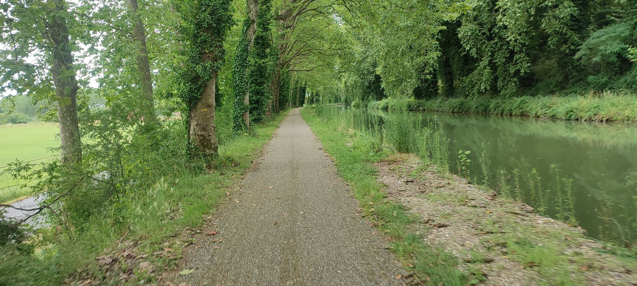 Kanalradweg EV3 am Canal lateral de la Garonne