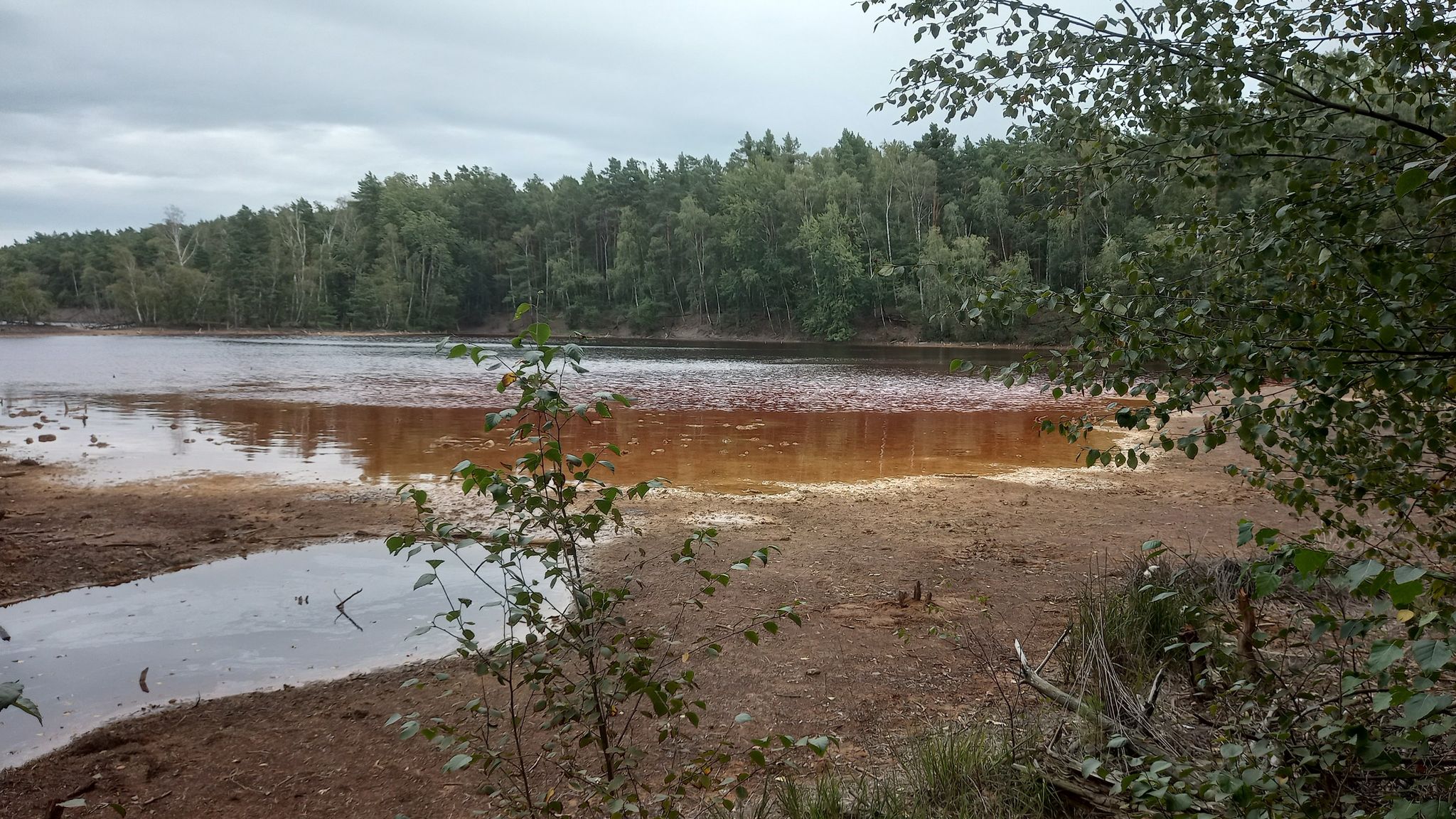 Roter See bei Plessa