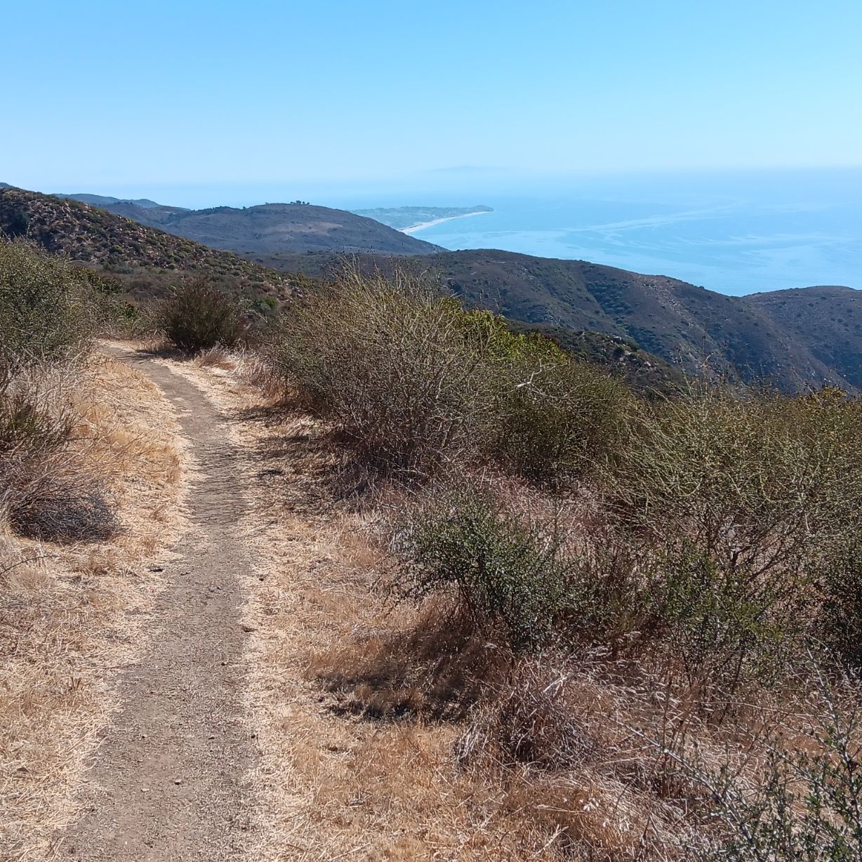 A dirt trail winds through dry hills overlooking a bright blue ocean. - Malibu Springs and Nicholas Flat Trail Loop